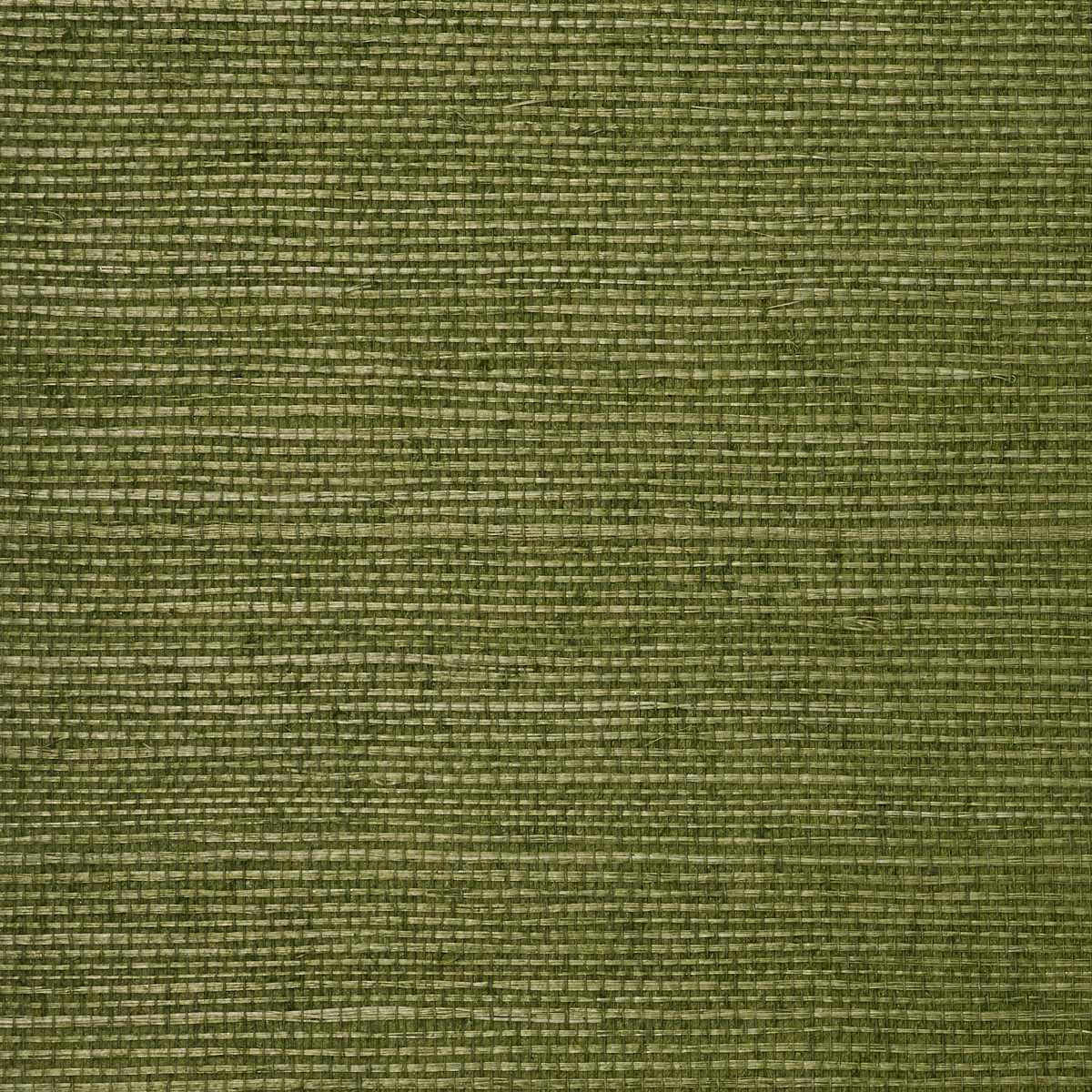 MANILA-HEMP-KELLY-GREEN-PHILLIP-JEFFRIES-3428