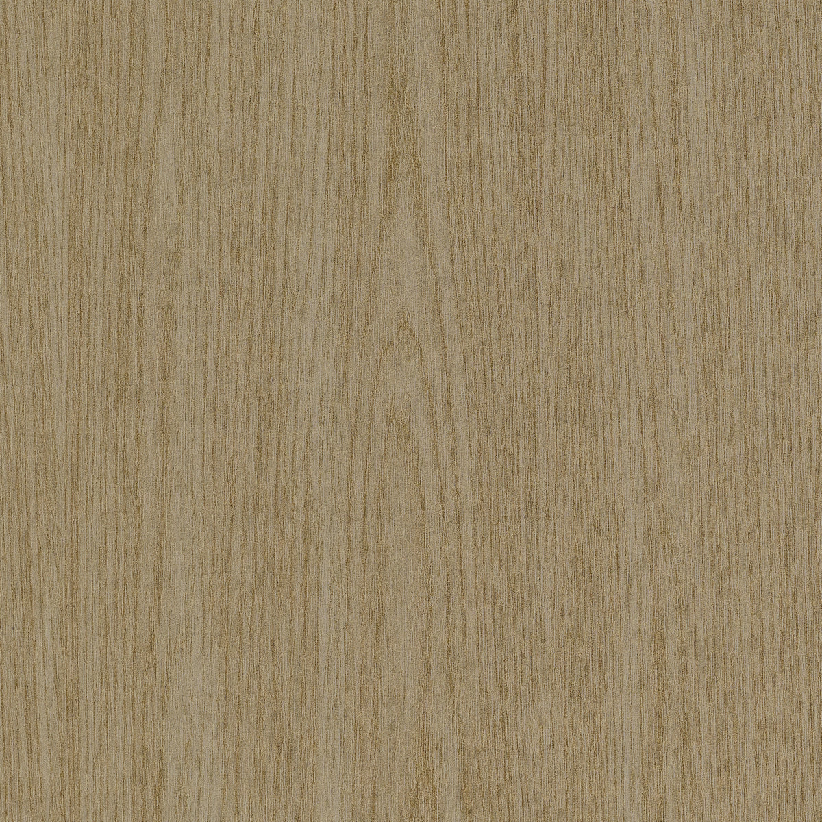 VINYL-WOODWORK-SUNLIT-ASH-PHILLIP-JEFFRIES-29605 - Phillip Jeffries Wallpaper Wallpaper