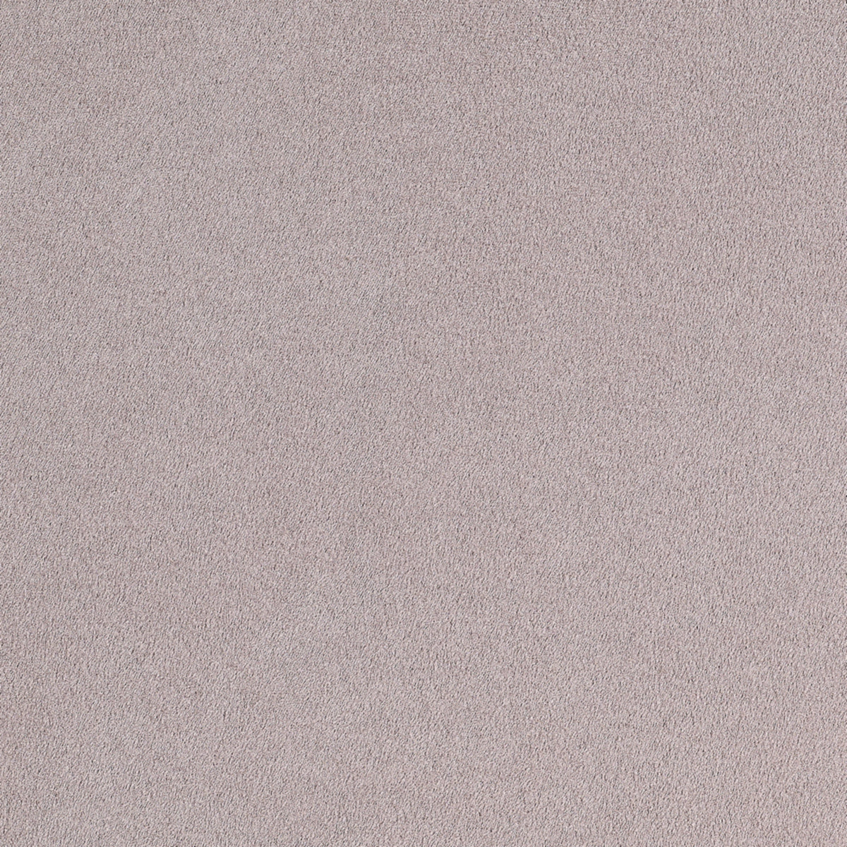 SUEDE-LOUNGE-ROS-SANGRIA-PHILLIP-JEFFRIES-8869 - Phillip Jeffries Wallpaper Wallpaper