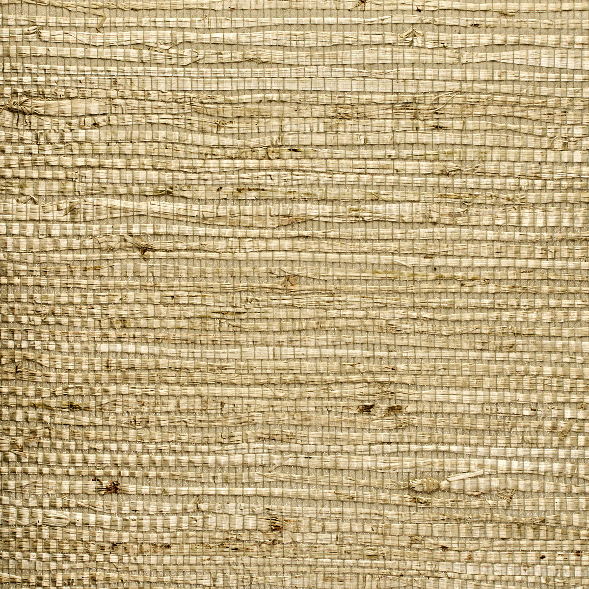 EXTRA-FINE-ARROWROOT-SERENE-GREEN-PHILLIP-JEFFRIES-3842