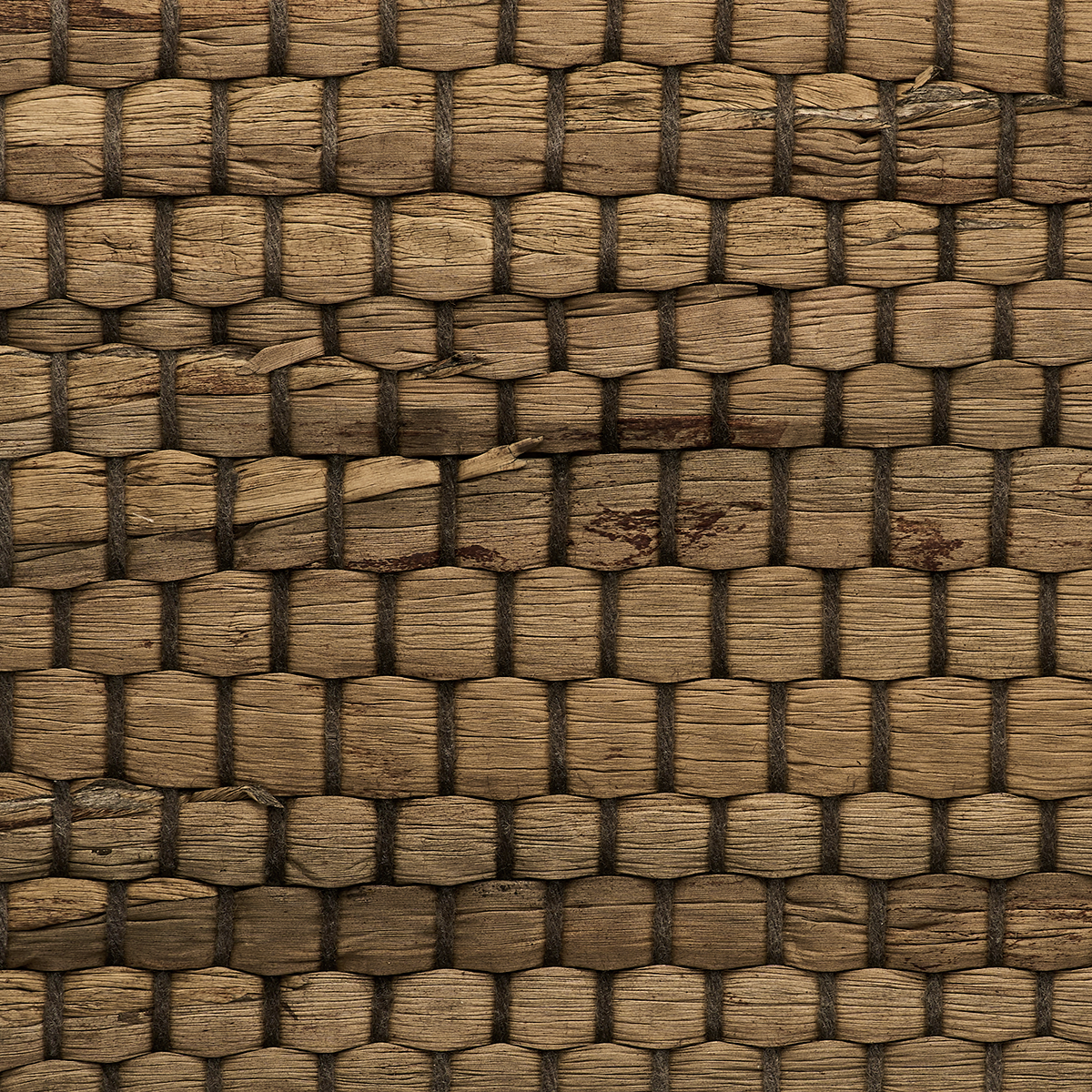 BRAIDED-WALLS-HAVANA-PHILLIP-JEFFRIES-3152