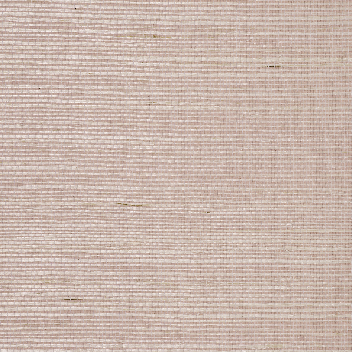 BERMUDA-HEMP-DUSTED-PINK-PHILLIP-JEFFRIES-5521 - Phillip Jeffries Wallpaper Wallpaper