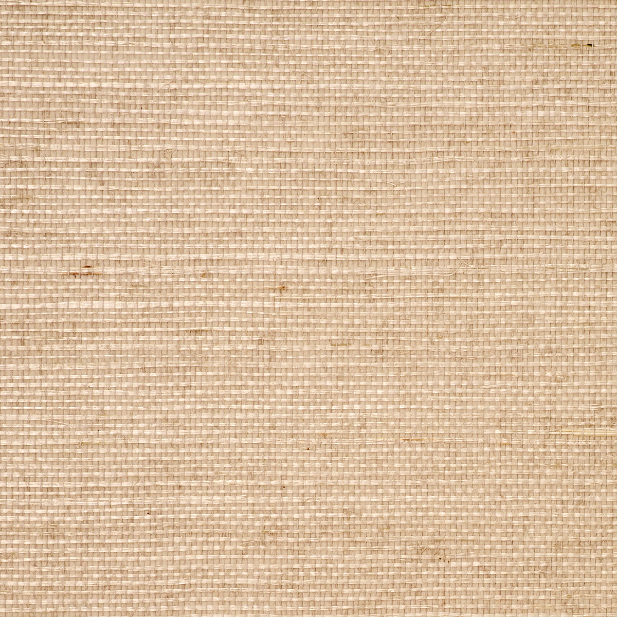 MANILA-HEMP-PLASTER-PHILLIP-JEFFRIES-9820
