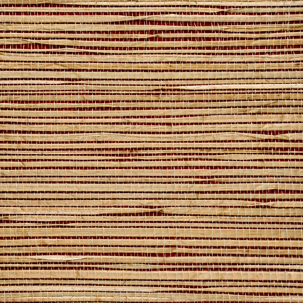 GRASS-ROOTS-REKAS-RED-PHILLIP-JEFFRIES-3371 - Phillip Jeffries Wallpaper Wallpaper