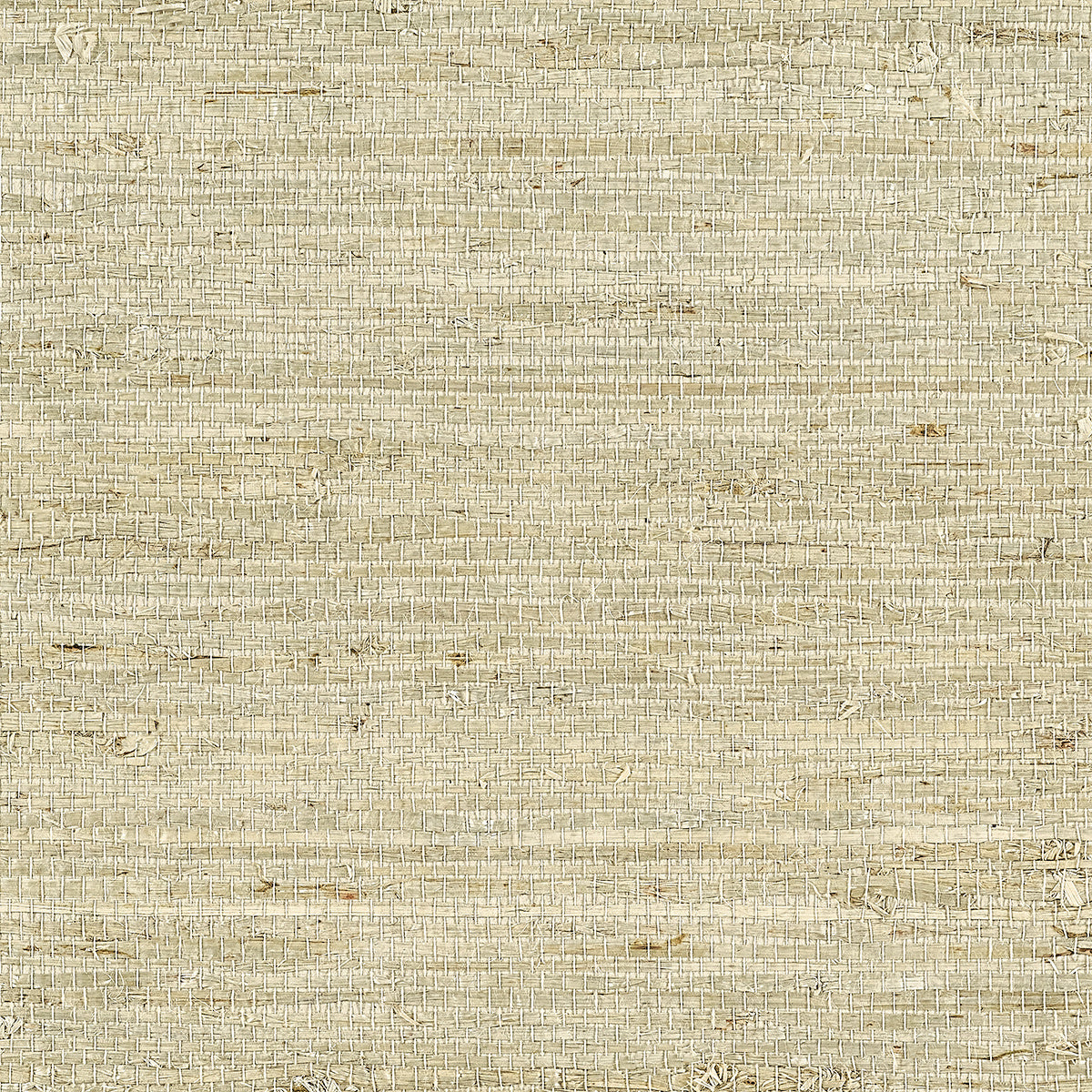 EXTRA-FINE-ARROWROOT-NATURAL-PHILLIP-JEFFRIES-10808 - Phillip Jeffries Wallpaper Wallpaper