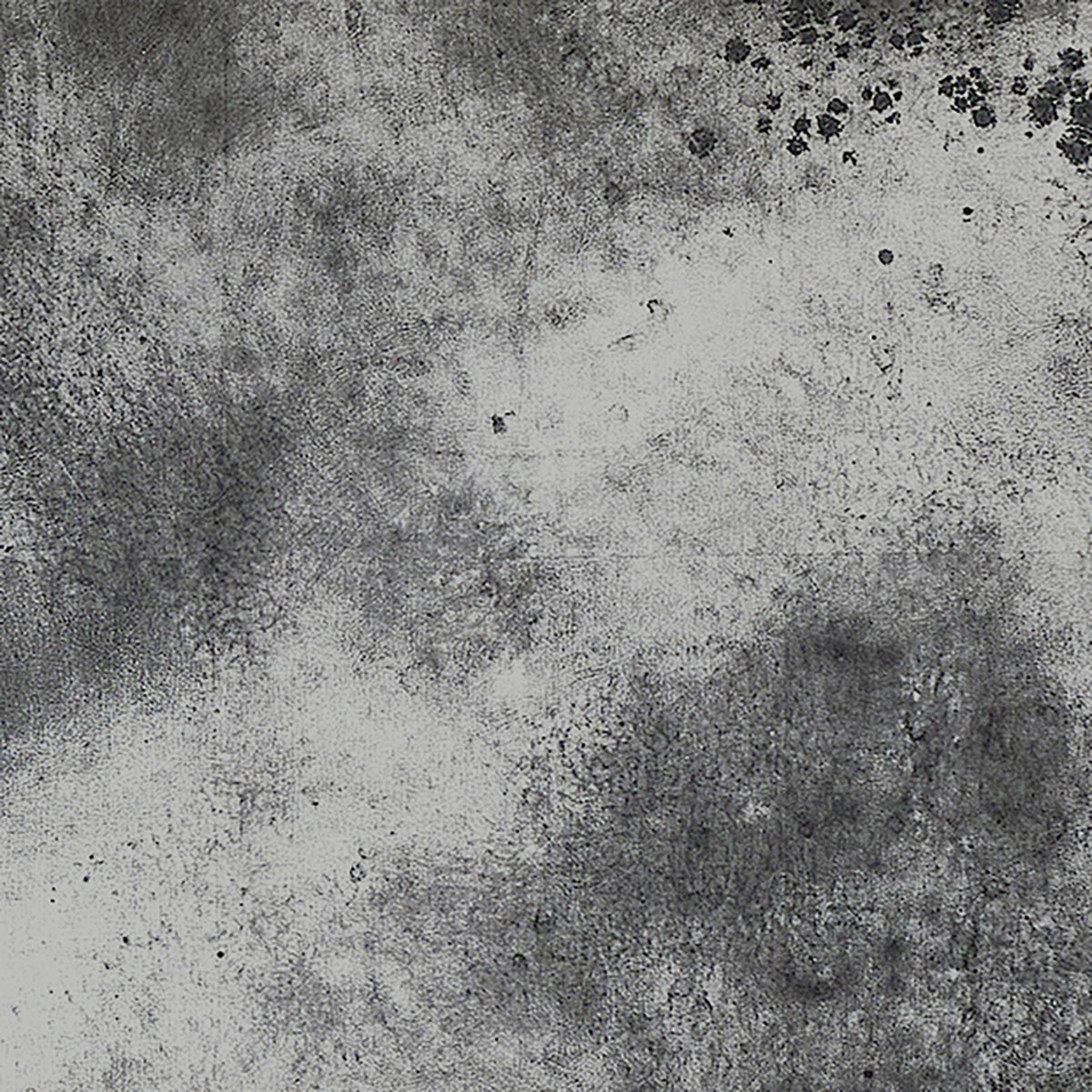 GV100-OXIDIZED-LEAF-INK-PHILLIP-JEFFRIES-GV100 - Phillip Jeffries Wallpaper Wallcovering