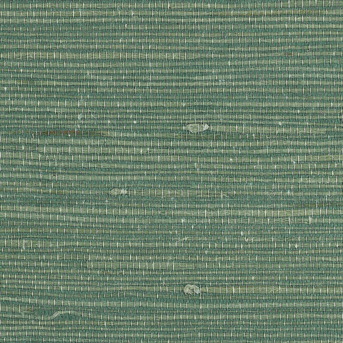JUICY-JUTE-SPEARMINT-PHILLIP-JEFFRIES-4780