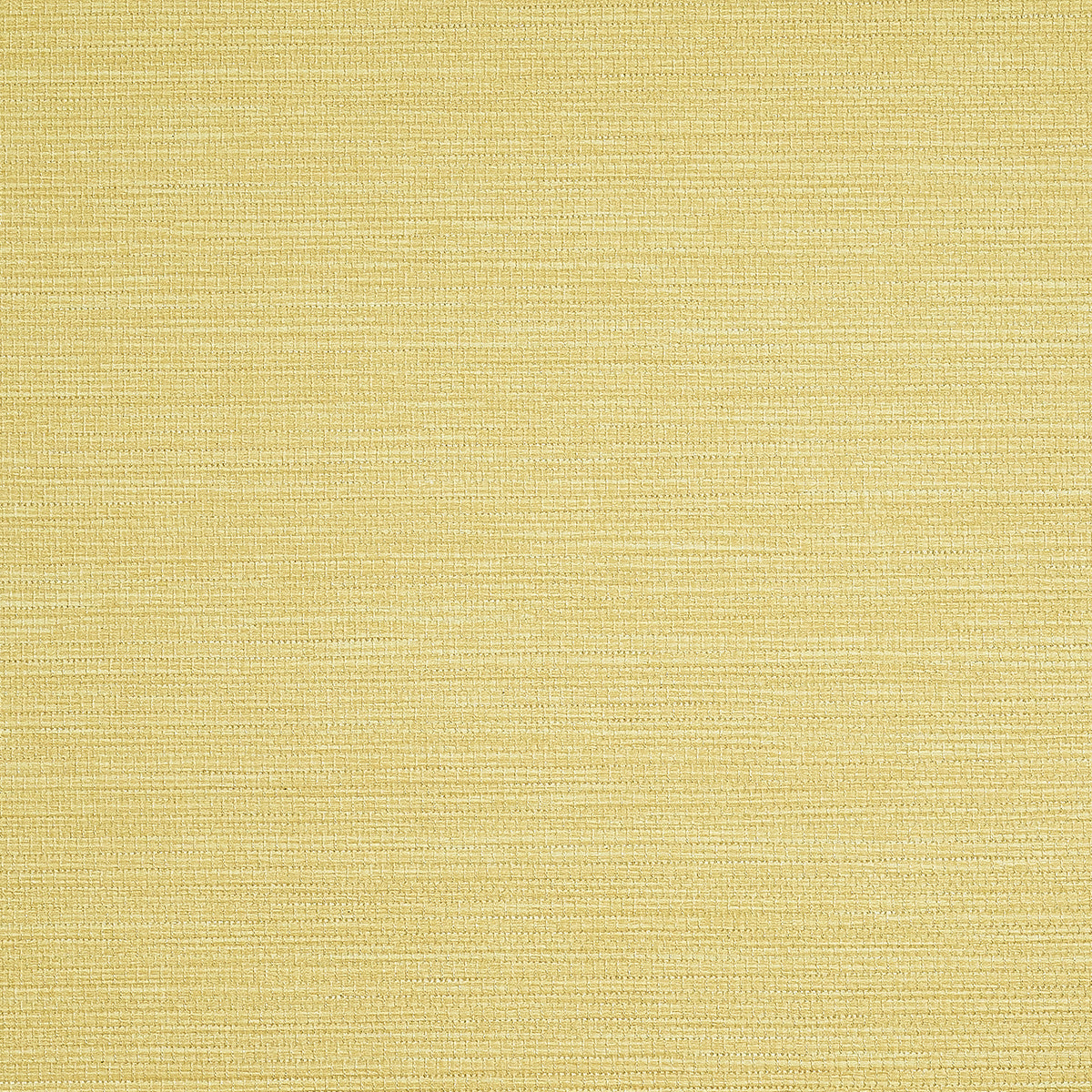 PJ-COLOR-SPLASH-TAFFY-PHILLIP-JEFFRIES-9733 - Phillip Jeffries Wallpaper Wallpaper