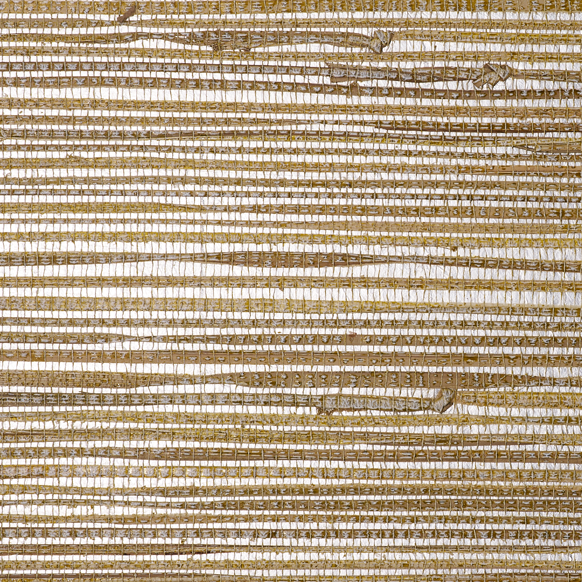 SHORELINE-GRASS-CITRUS-SPICE-PHILLIP-JEFFRIES-2803