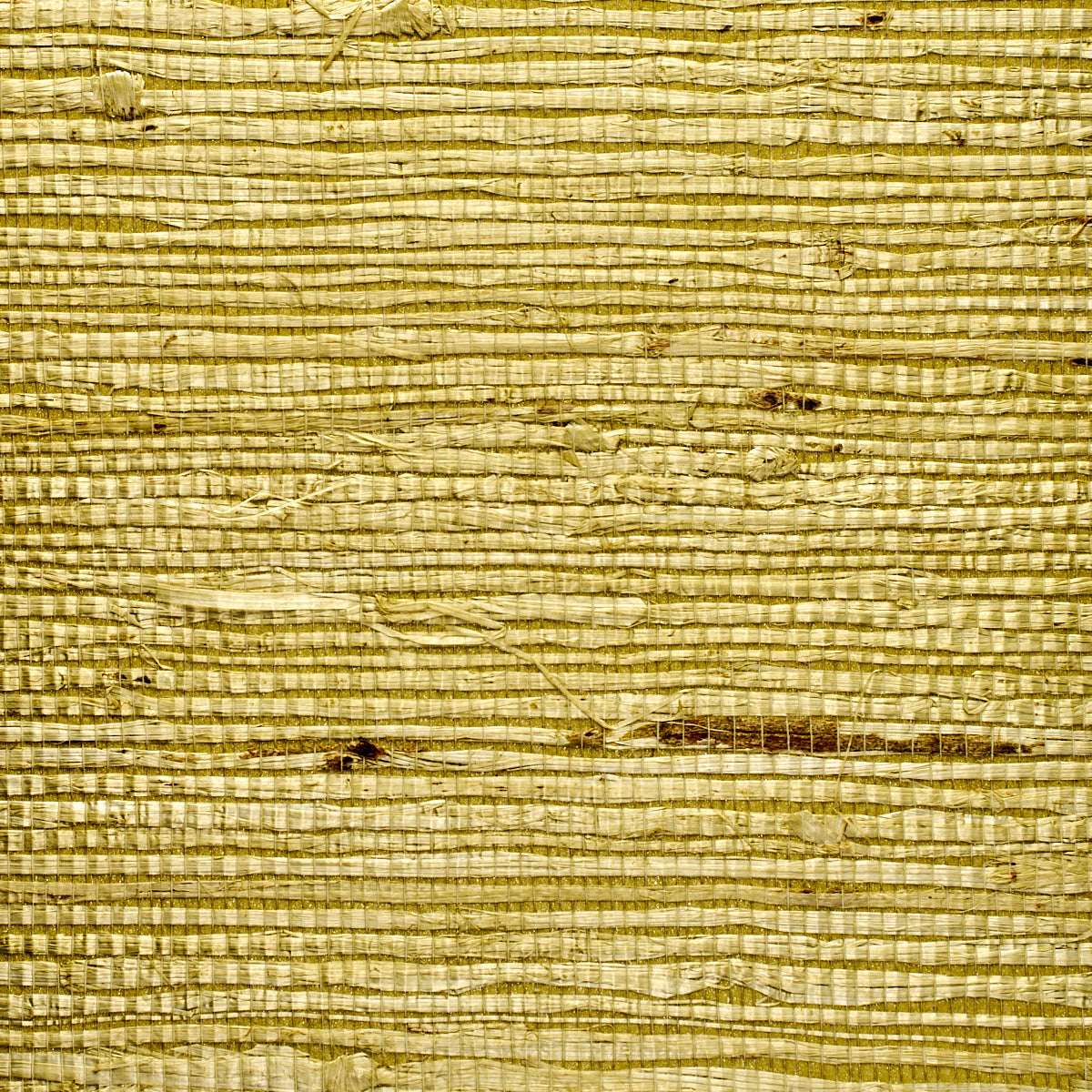 EXTRA-FINE-ARROWROOT-LOTUS-PHILLIP-JEFFRIES-1969