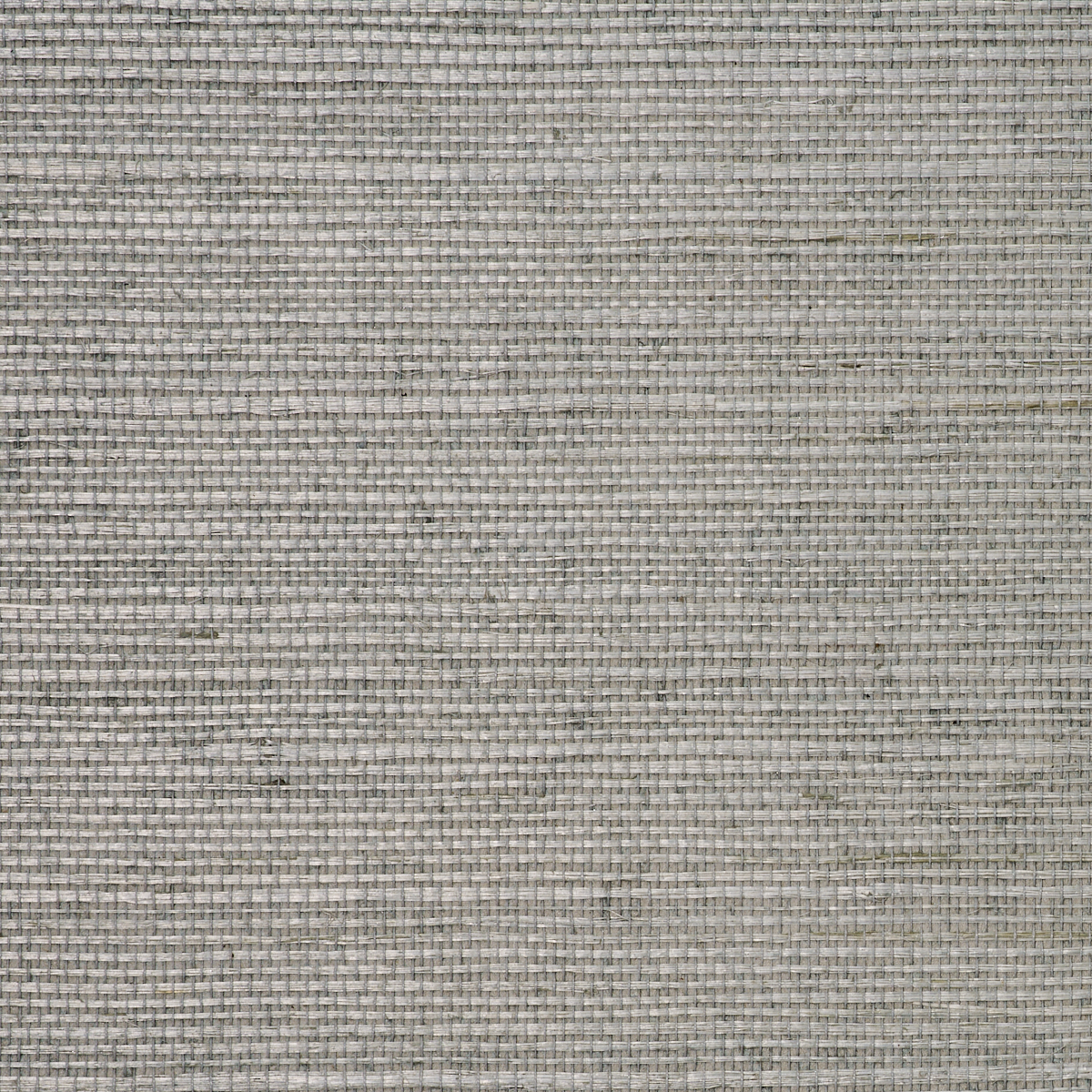 MANILA-HEMP-DAYDREAM-PHILLIP-JEFFRIES-5240