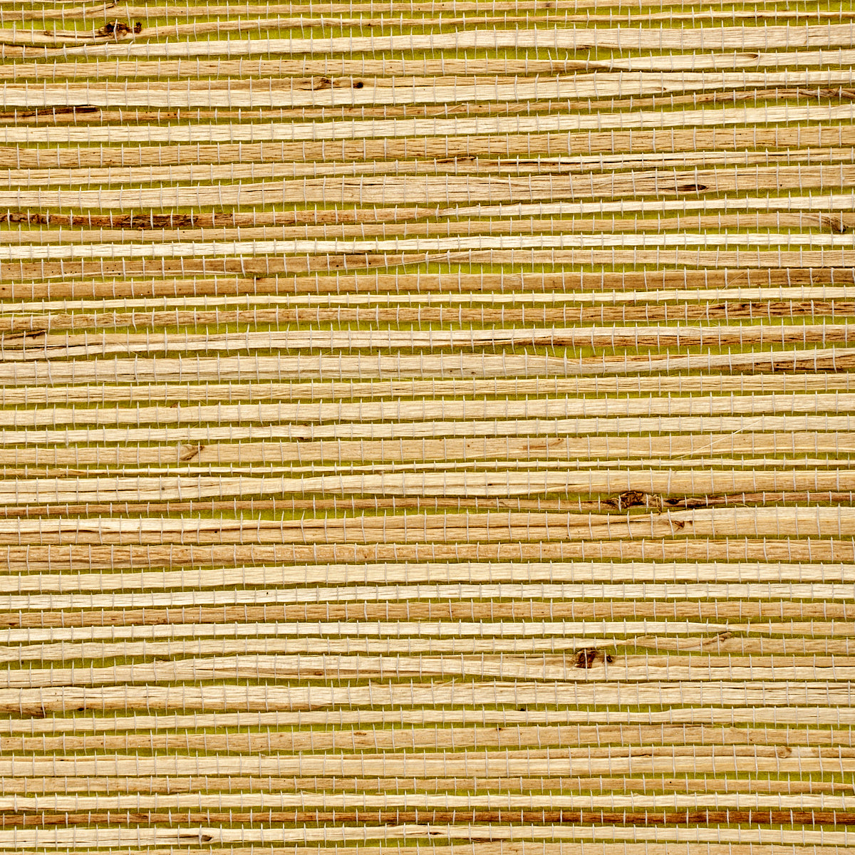 Grass Roots Livingston Lime - Phillip Jeffries 3375 -Wallpaper