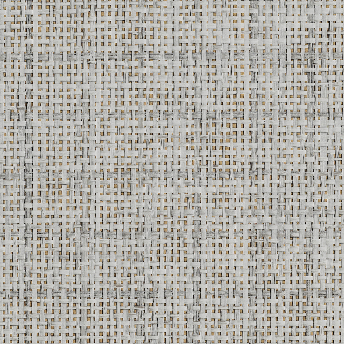 GRACEFUL-GRID-EARL-GREY-PHILLIP-JEFFRIES-10479