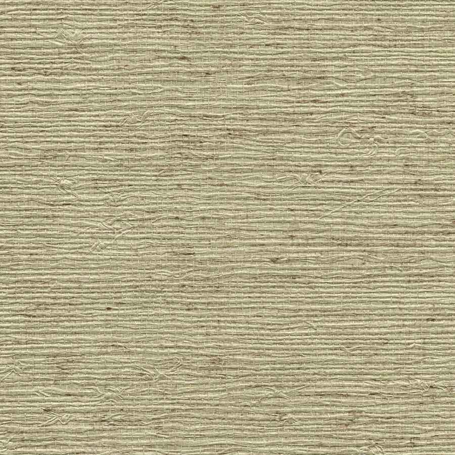 Vinyl Arrowroot Chive - Phillip Jeffries 7645 - Phillip Jeffries Wallpaper Wallpaper