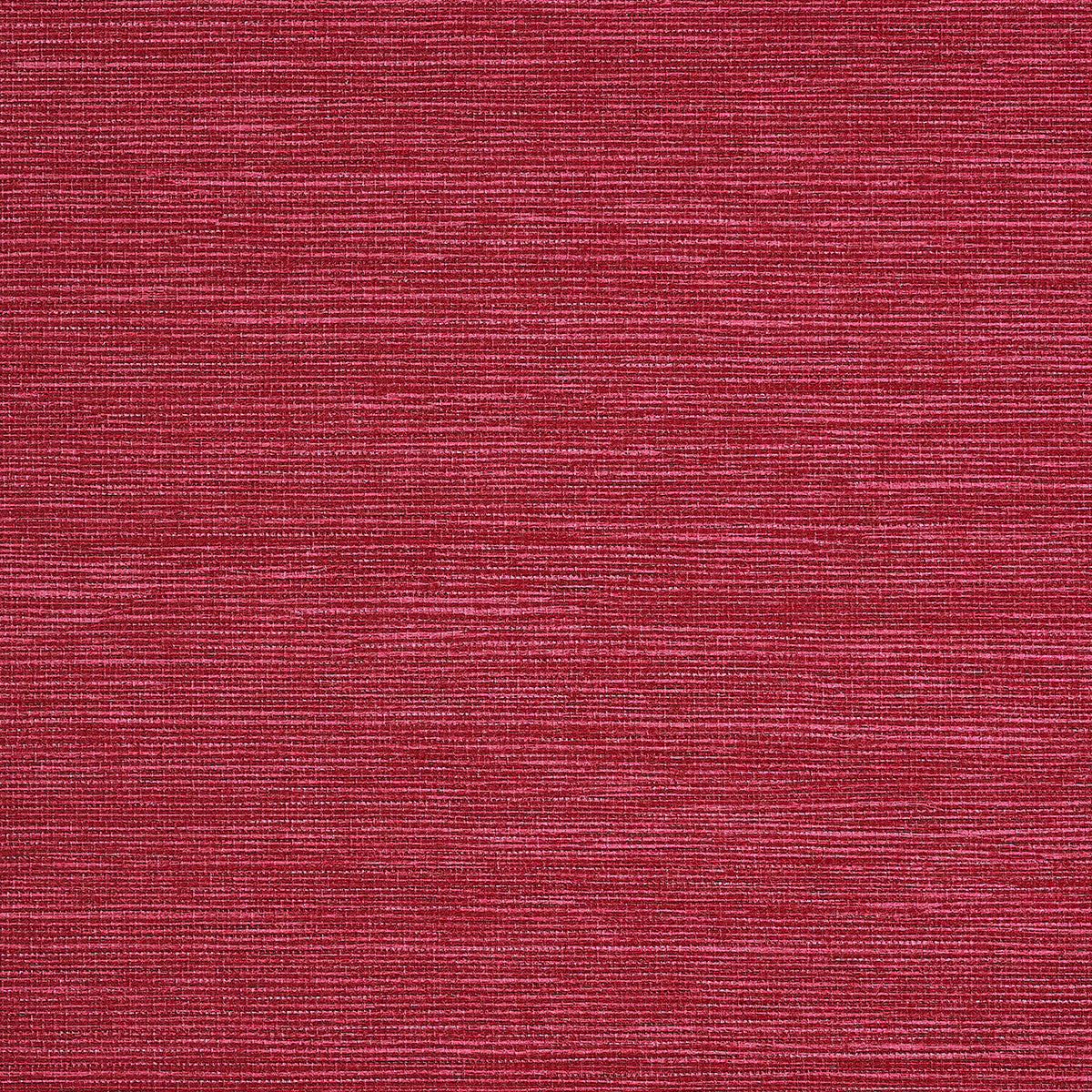 PJ-COLOR-SPLASH-RASPBERRY-PHILLIP-JEFFRIES-9786