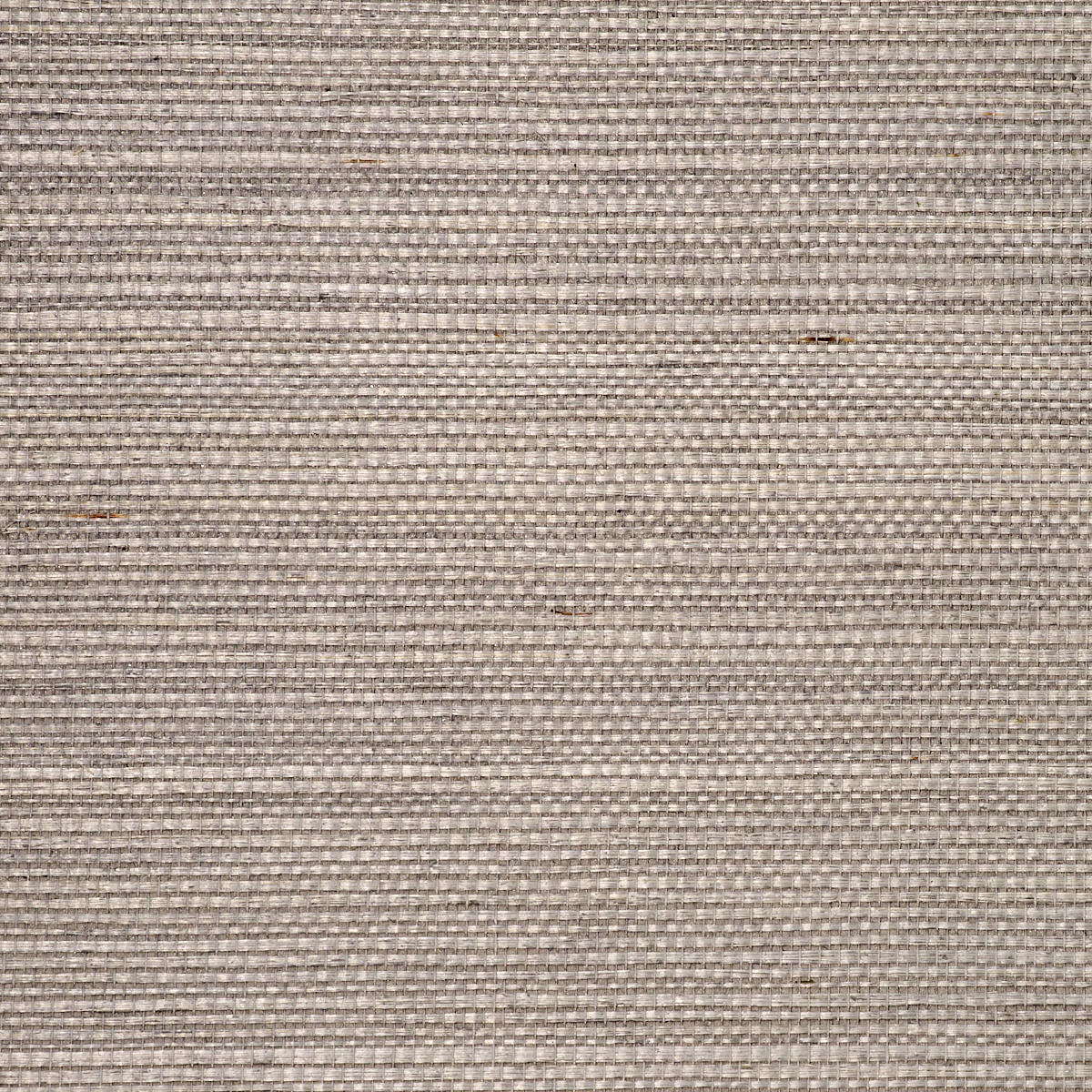 MANILA-HEMP-SILVER-LINING-PHILLIP-JEFFRIES-9818