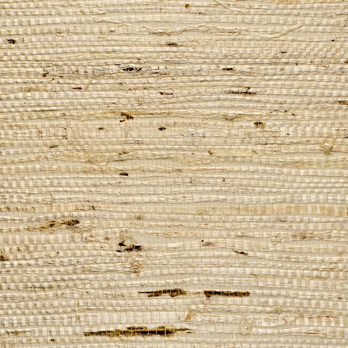 EXTRA-FINE-ARROWROOT-FEATHER-PHILLIP-JEFFRIES-071