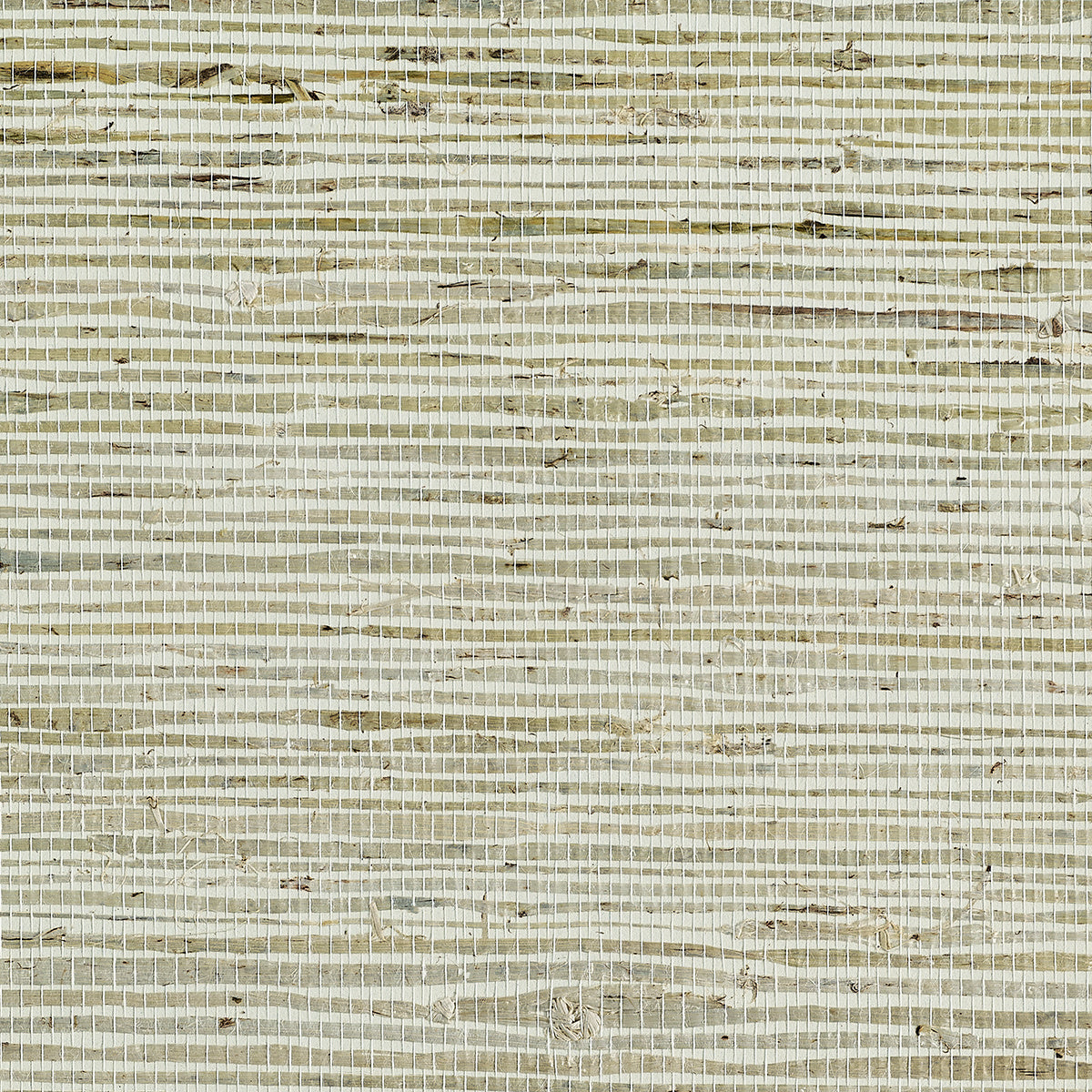 EXTRA-FINE-ARROWROOT-FEATHER-PHILLIP-JEFFRIES-071