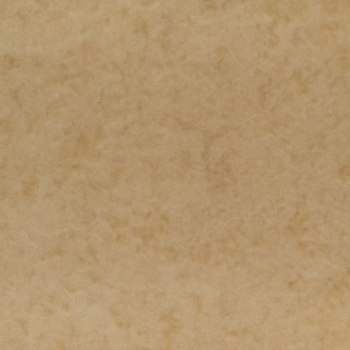 CURTAIN-CALL-LIMELIGHT-PHILLIP-JEFFRIES-32802 - Phillip Jeffries Wallpaper Wallpaper