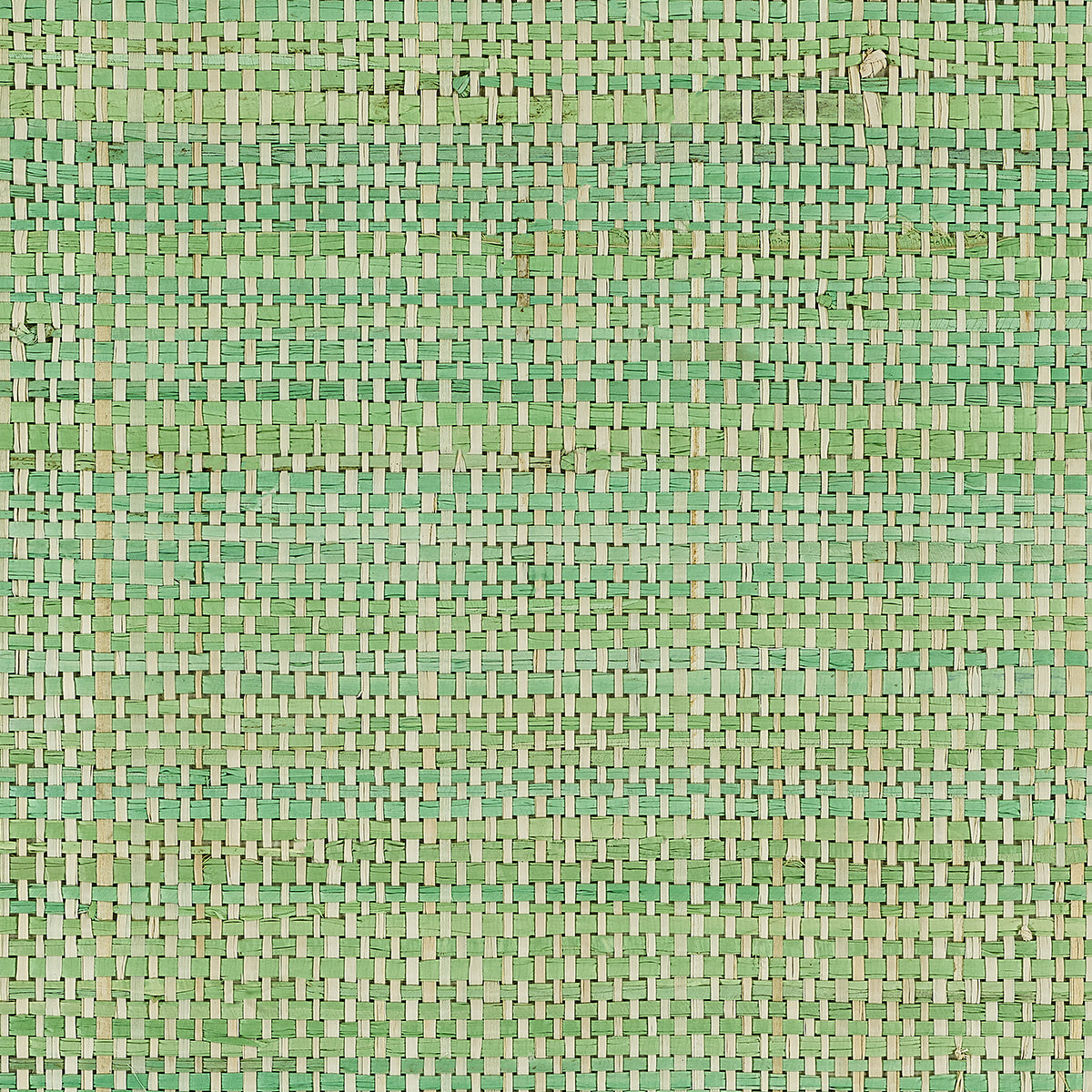 AFRICAN-RAFFIA-TWO-TONE-GREEN-PHILLIP-JEFFRIES-3581 - Phillip Jeffries Wallpaper Wallpaper