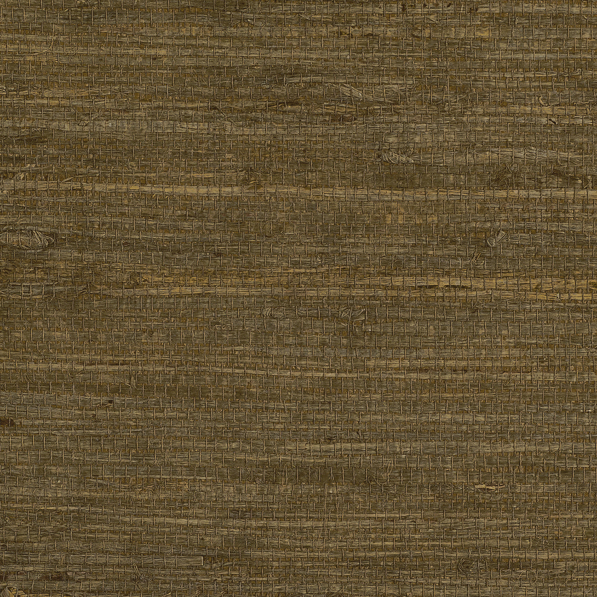EXTRA-FINE-ARROWROOT-OLIVE-PHILLIP-JEFFRIES-1741