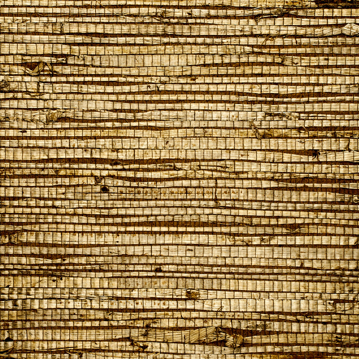 EXTRA-FINE-ARROWROOT-OLIVE-PHILLIP-JEFFRIES-1741 - Phillip Jeffries Wallpaper Papel pintado