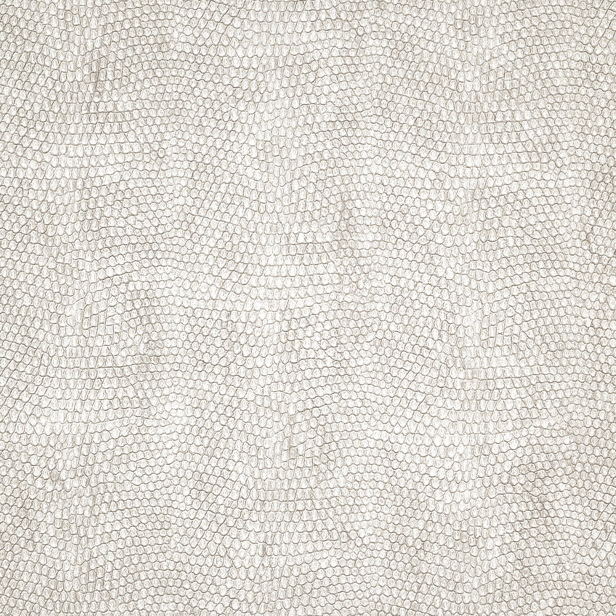 VINYL-SNAKESKIN-WHITE-FANG-PHILLIP-JEFFRIES-10247 - Phillip Jeffries Wallpaper Wallpaper