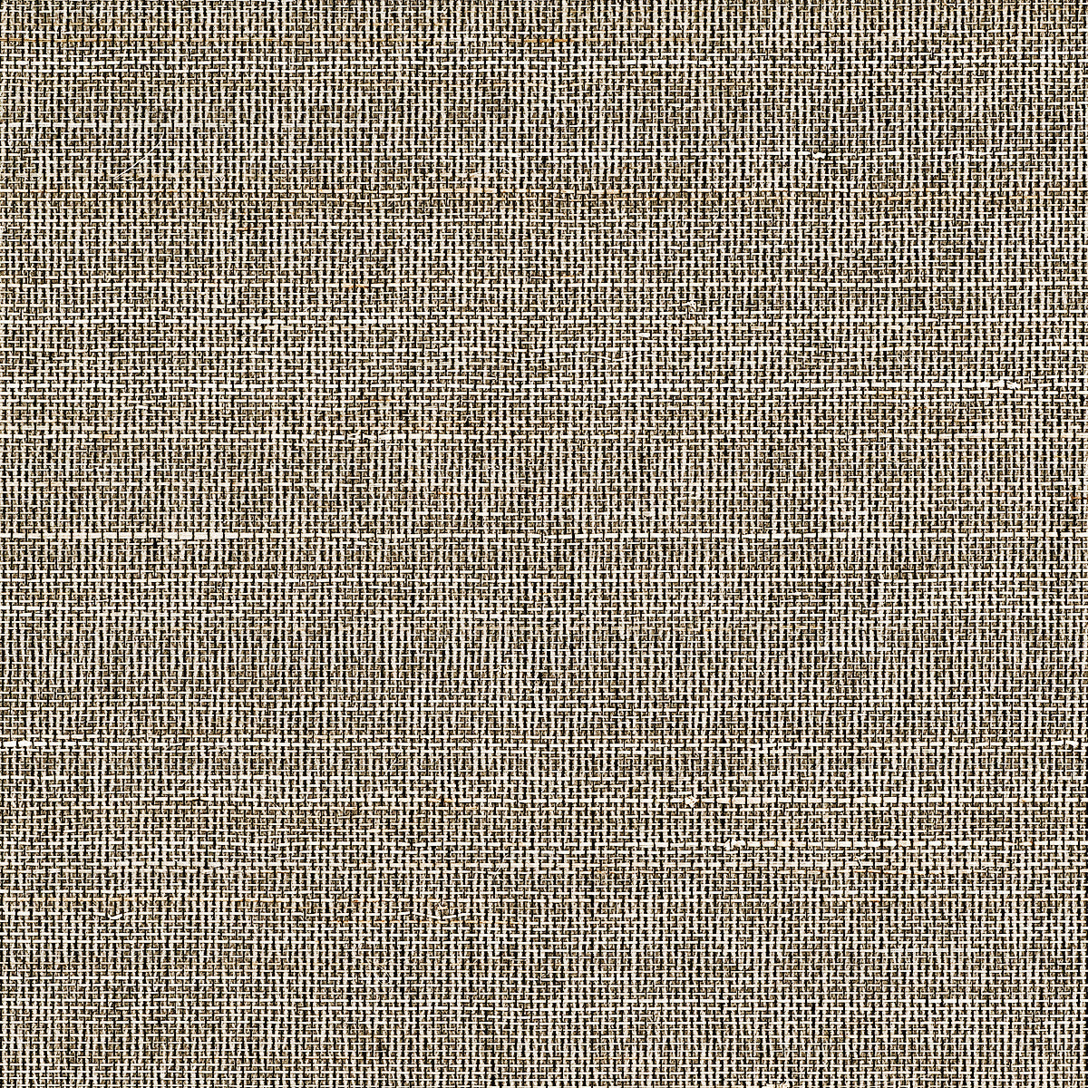 HORSEHAIR-MOONBEAM-PHILLIP-JEFFRIES-10768 - Phillip Jeffries Wallpaper Papel pintado