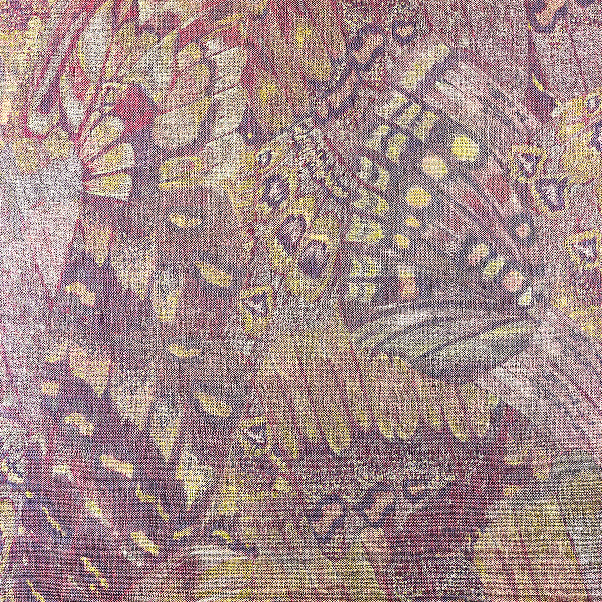 AFLUTTER-SOARING-PURPLE-ON-GLAM-GRASS-PHILLIP-JEFFRIES-9835 - Phillip Jeffries Wallpaper Wallcovering