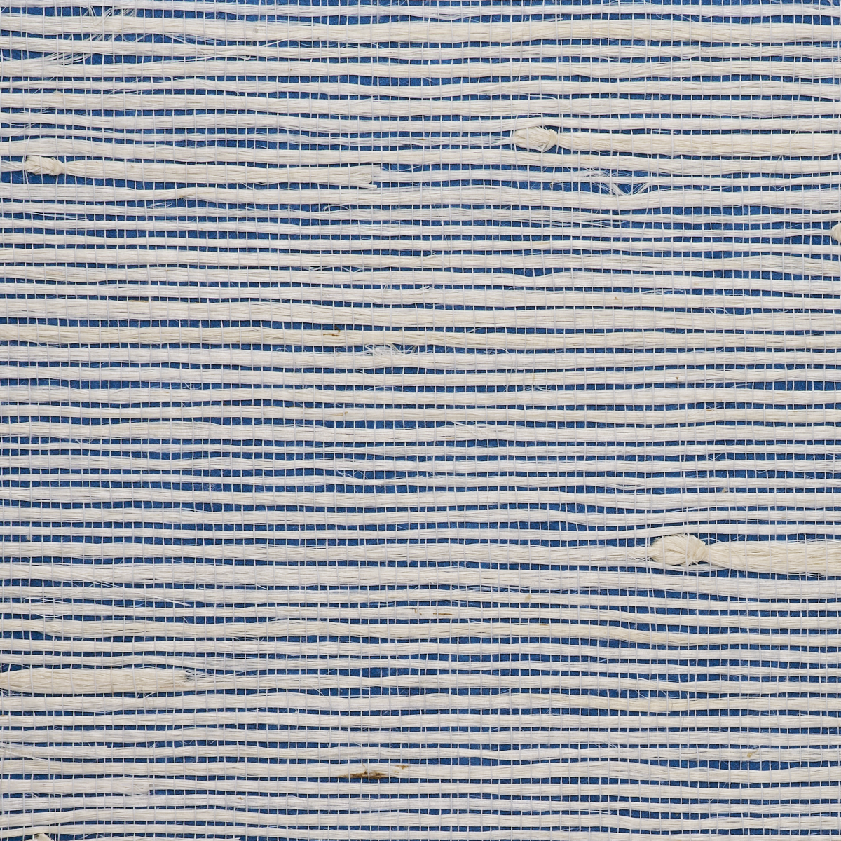 JAZZY-JUTE-BLUEBERRY-BOOGIE-PHILLIP-JEFFRIES-8855