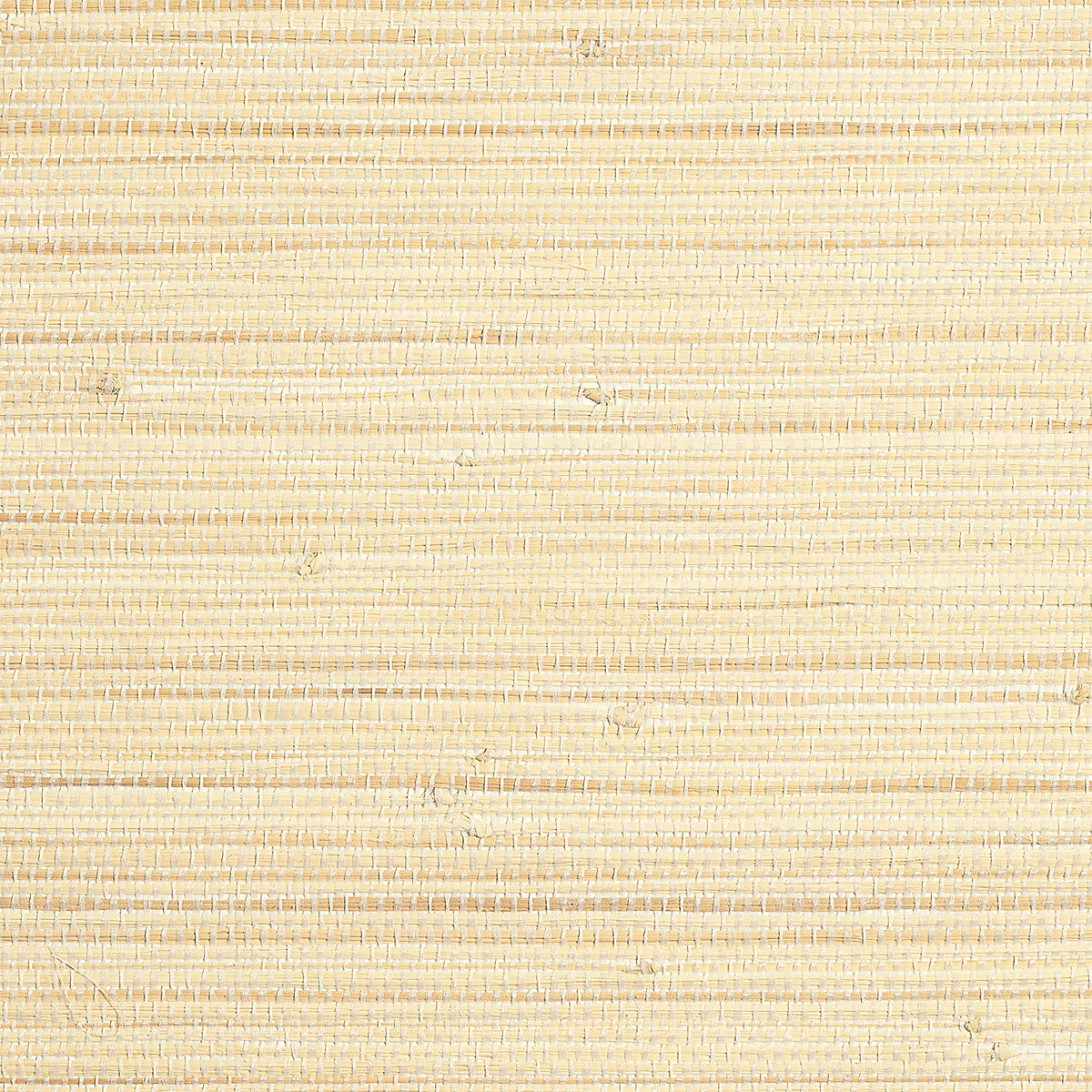 COASTLINE-GRASS-CONCH-CREAM-PHILLIP-JEFFRIES-9970 - Phillip Jeffries Wallpaper Wallpaper