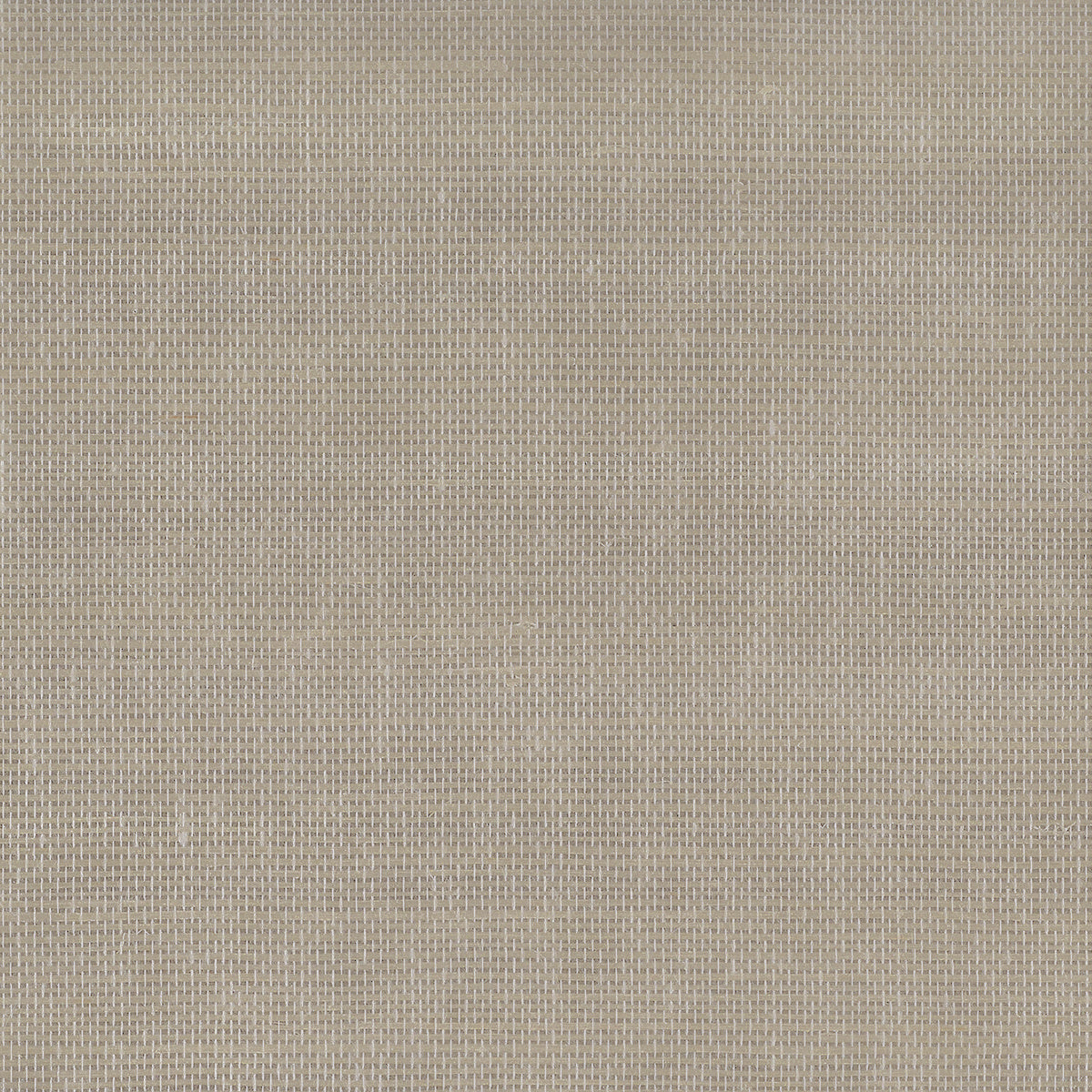 GLIMMERING-GRASS-HUSHED-ON-GLAM-GRASS-PHILLIP-JEFFRIES-37105 - Phillip Jeffries Wallpaper Wallcovering