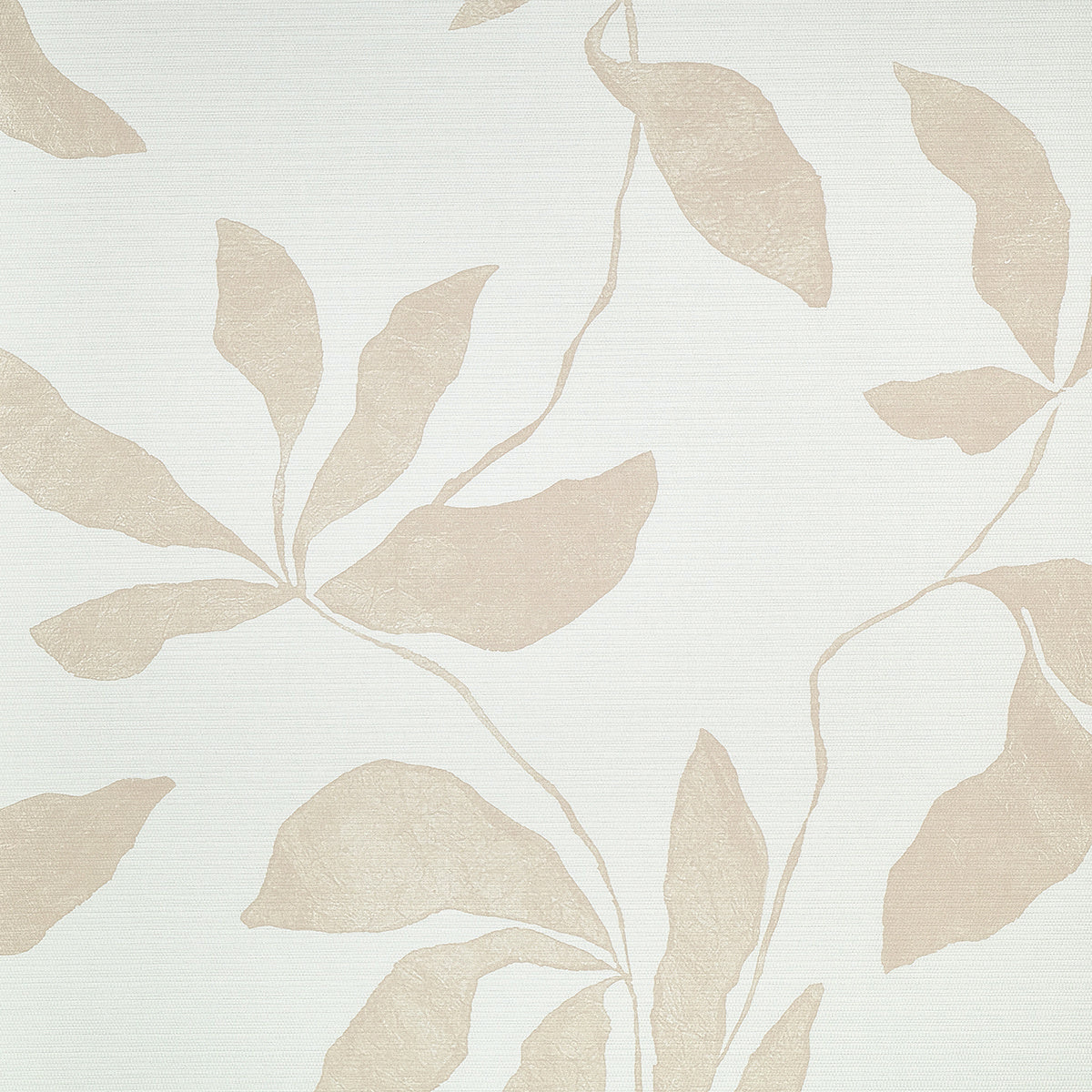 DESERT-IVY-BLUSH-HAZE-ON-WOVEN-WALLS-PHILLIP-JEFFRIES-40208