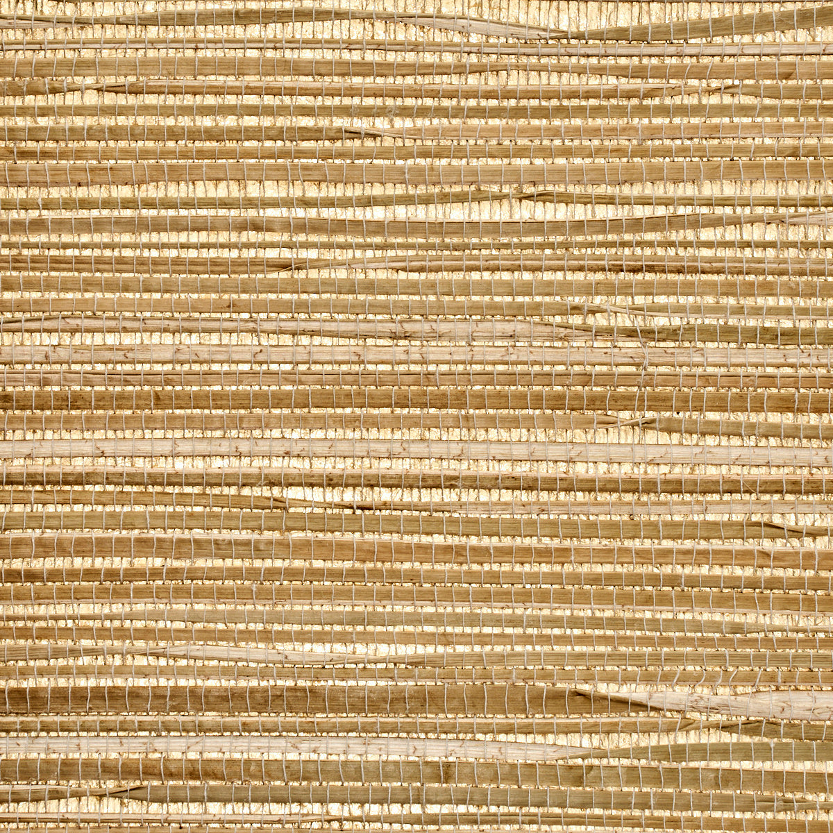 GRASS-ROOTS-WOOD-CHIP-PHILLIP-JEFFRIES-9146