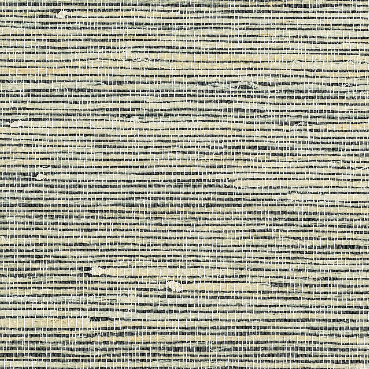 JUICY-JUTE-SPARROW-PHILLIP-JEFFRIES-4764