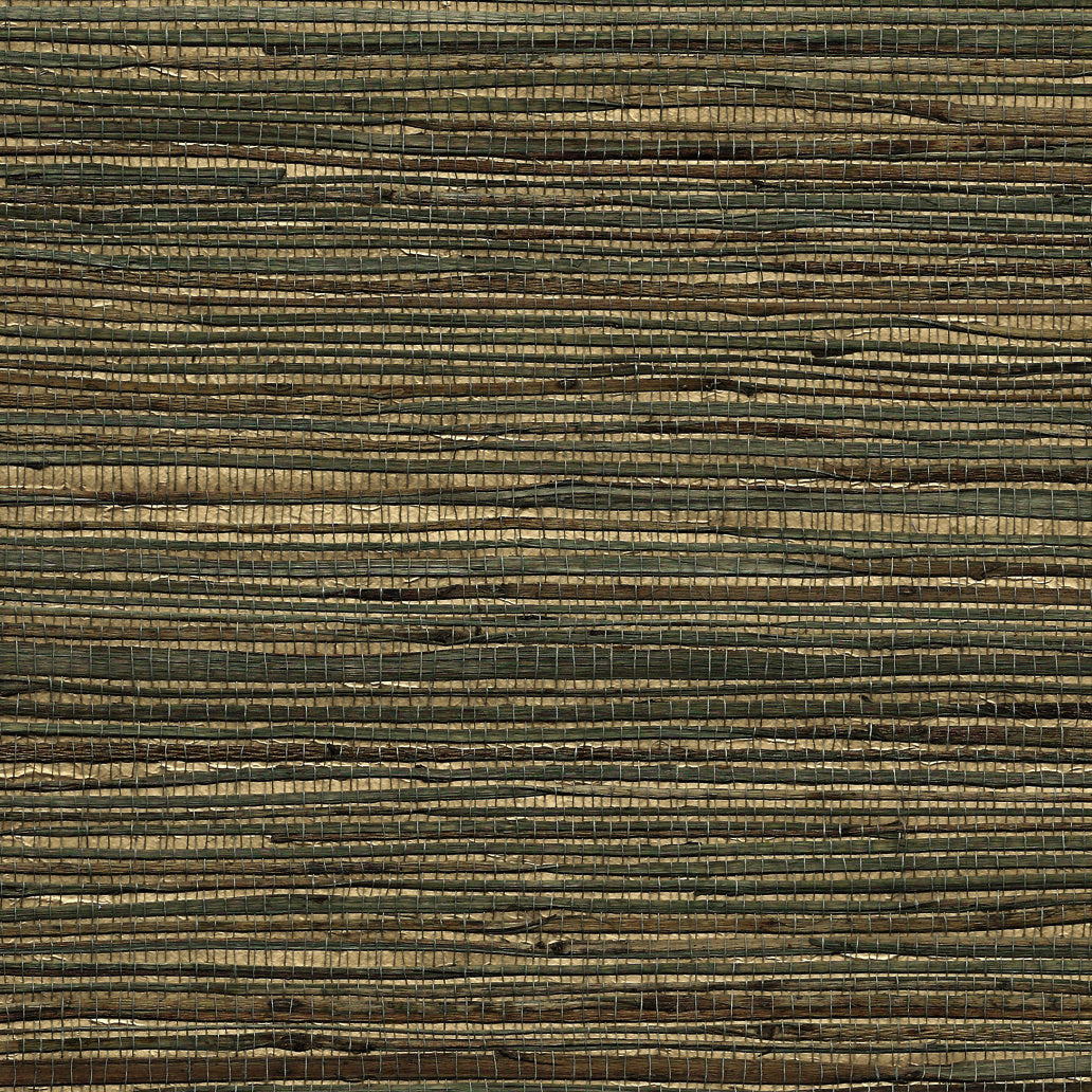 GRASS-ROOTS-OLIVE-DREAM-PHILLIP-JEFFRIES-3386