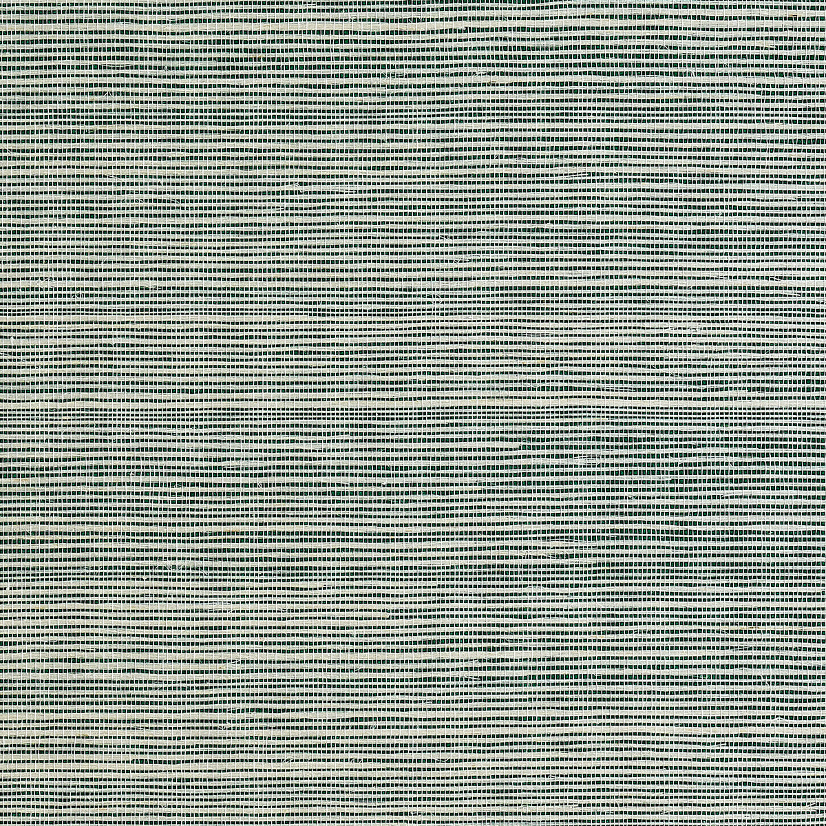 BERMUDA-HEMP-TROPIC-GREEN-PHILLIP-JEFFRIES-5523