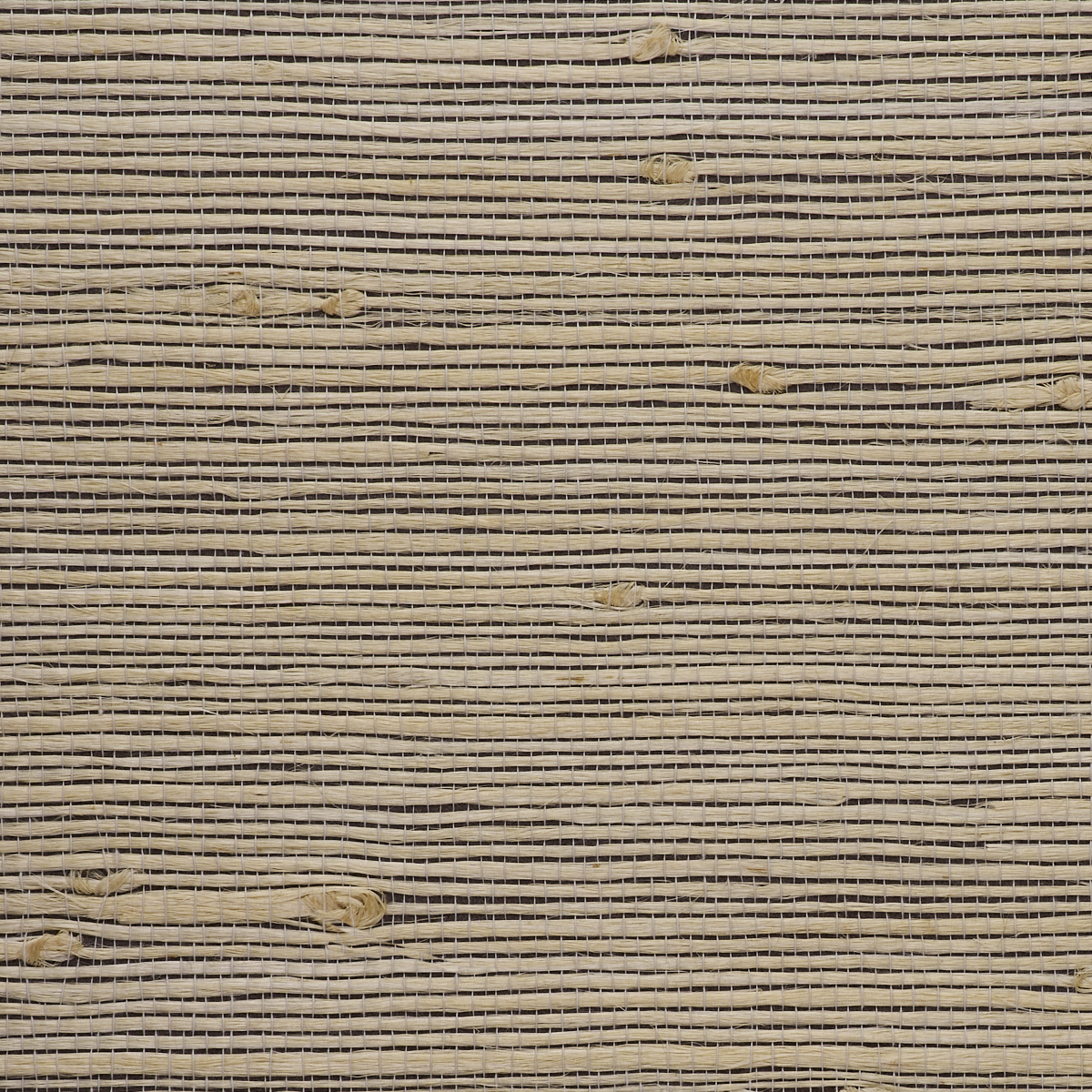 JUICY-JUTE-SPARROW-PHILLIP-JEFFRIES-4764 - Phillip Jeffries Wallpaper Wallpaper