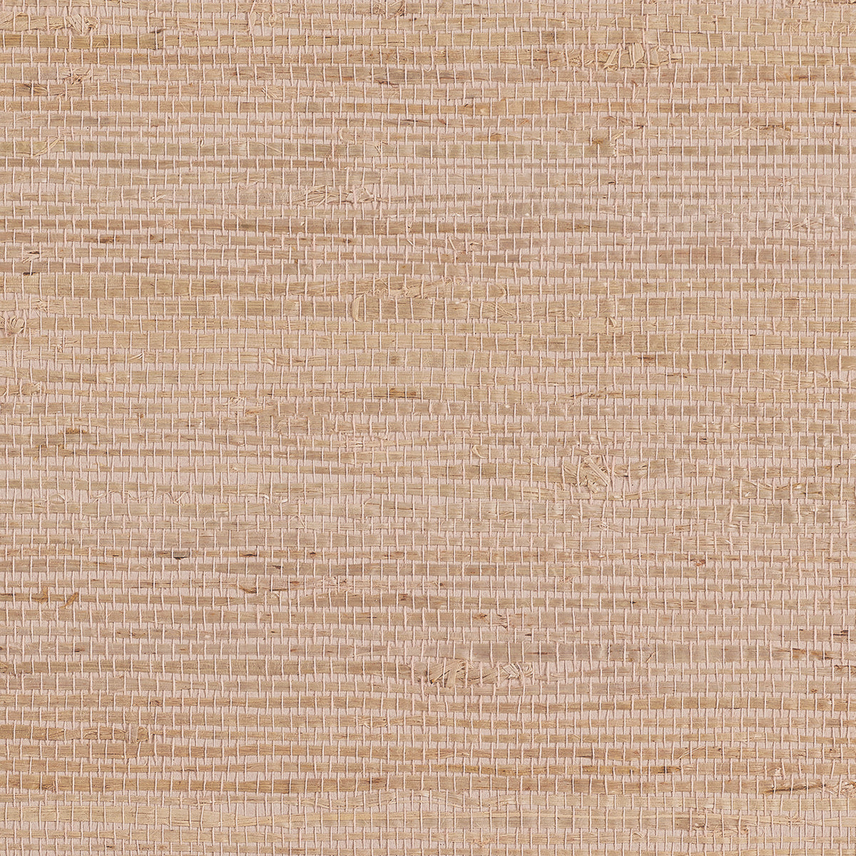 EXTRA-FINE-ARROWROOT-PEONY-PHILLIP-JEFFRIES-3191