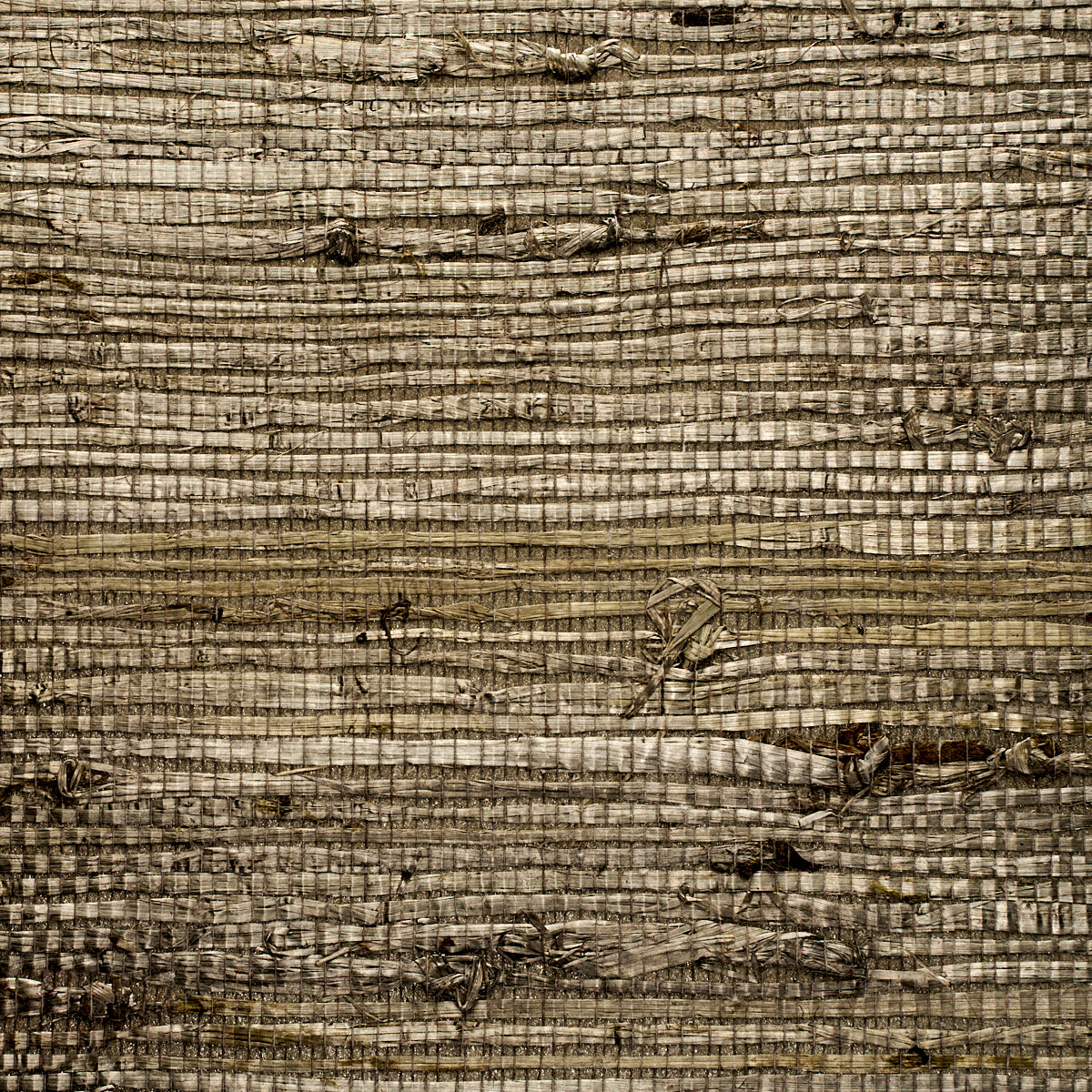 EXTRA-FINE-ARROWROOT-STEEL-PHILLIP-JEFFRIES-3193