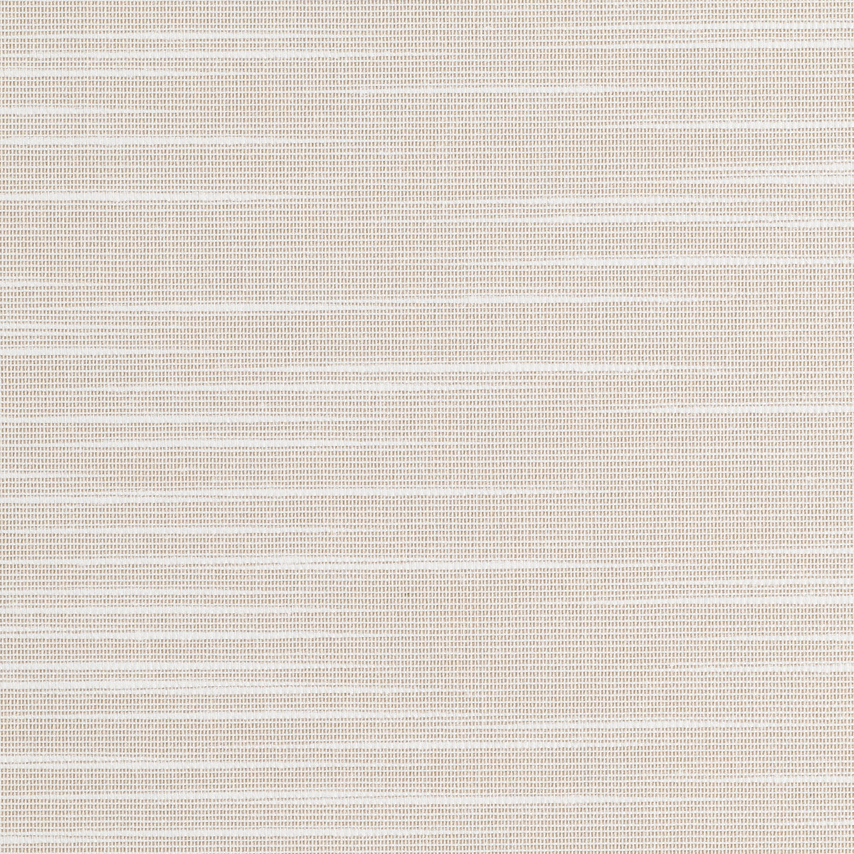 SET-SAIL-QUEEN-CONCH-PHILLIP-JEFFRIES-10263 - Phillip Jeffries Wallpaper Wallpaper
