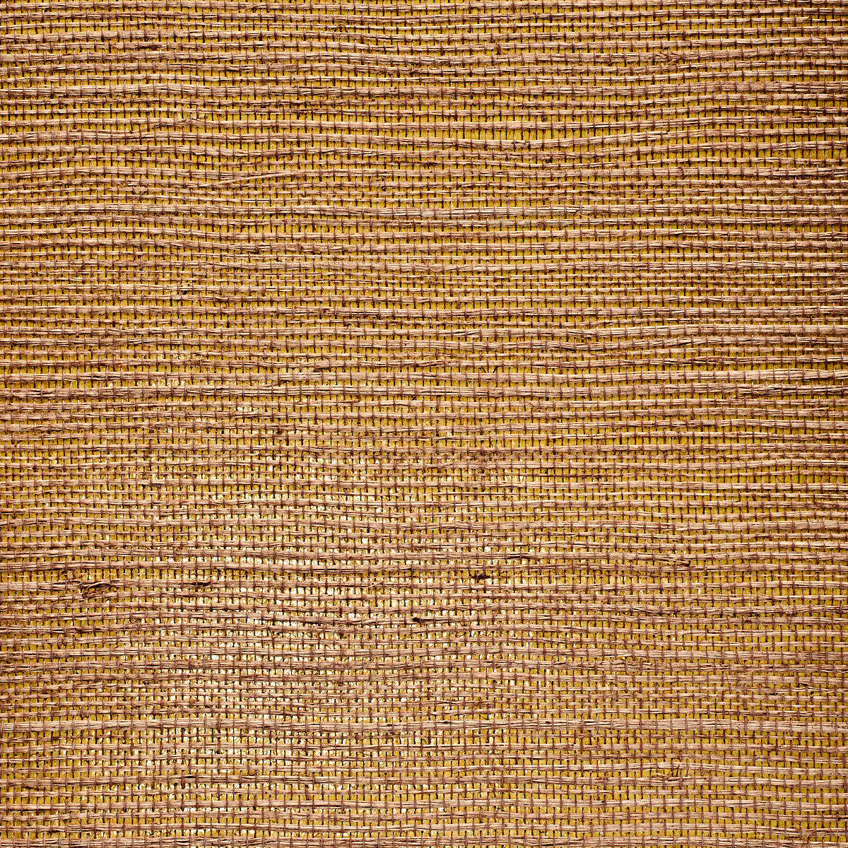 GLAM-GRASS-SHANGHAI-NIGHT-PHILLIP-JEFFRIES-5223 - Phillip Jeffries Wallpaper Wallpaper