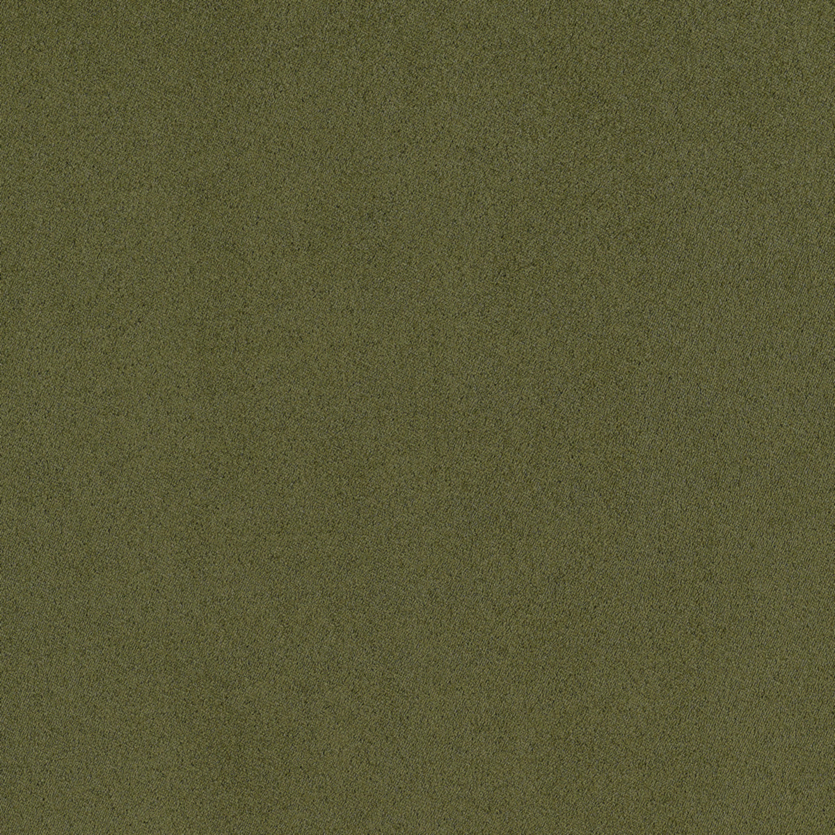 SUEDE-LOUNGE-LUSH-OLIVE-PHILLIP-JEFFRIES-10295 - Phillip Jeffries Wallpaper Wallpaper