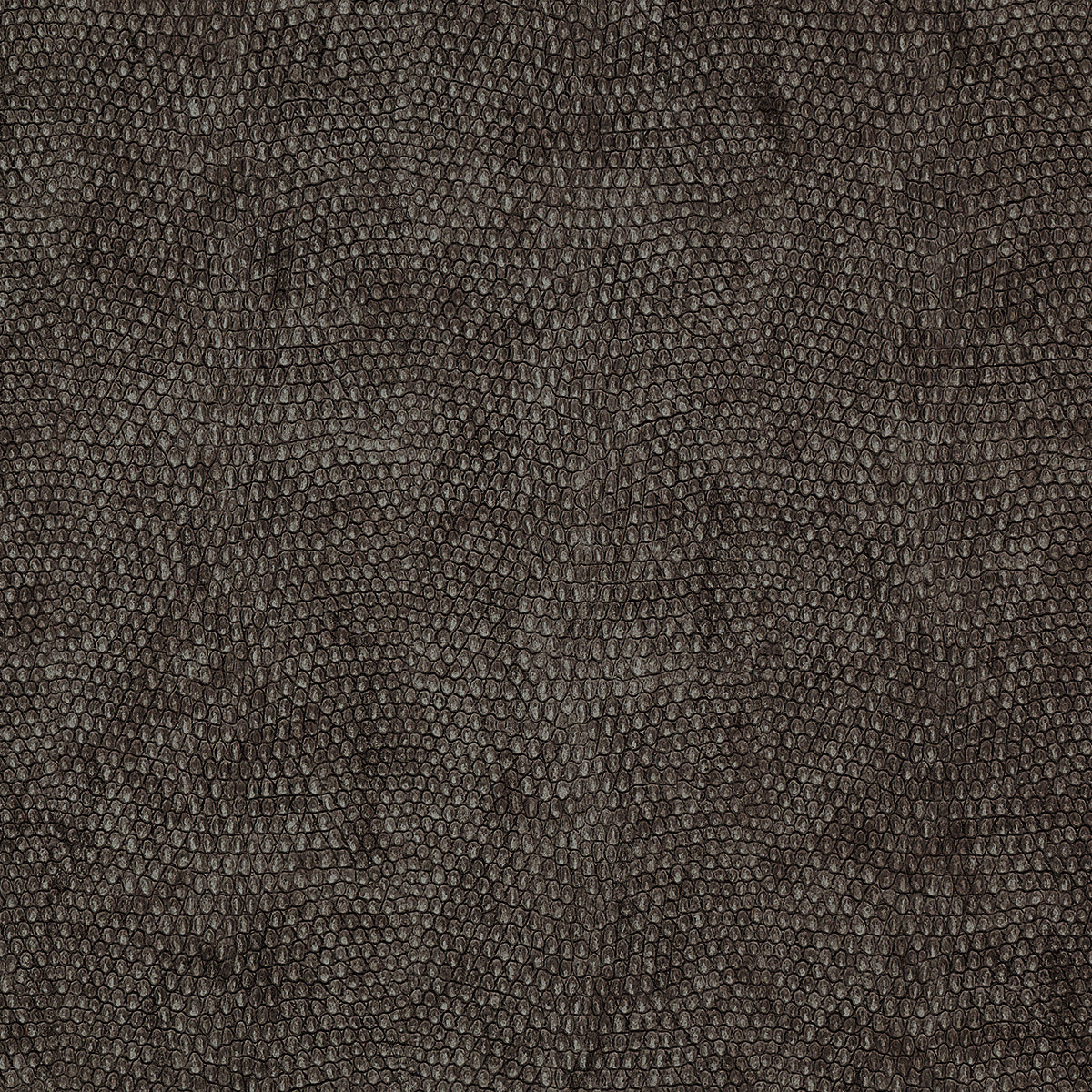 VINYL-SNAKESKIN-GREY-ORA-PHILLIP-JEFFRIES-8078