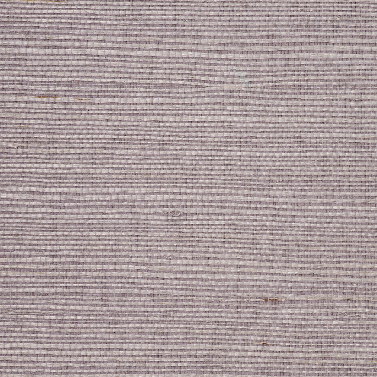 MANILA-HEMP-BLOSSOM-PHILLIP-JEFFRIES-5236