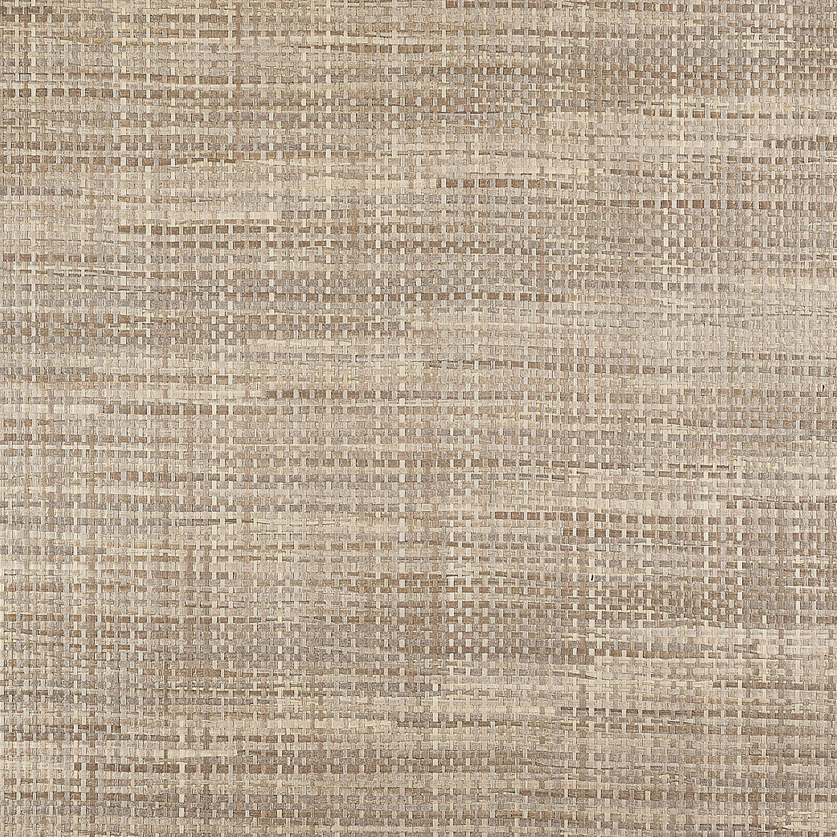 DRIFTWOOD-MORNING-FOG-PHILLIP-JEFFRIES-6203