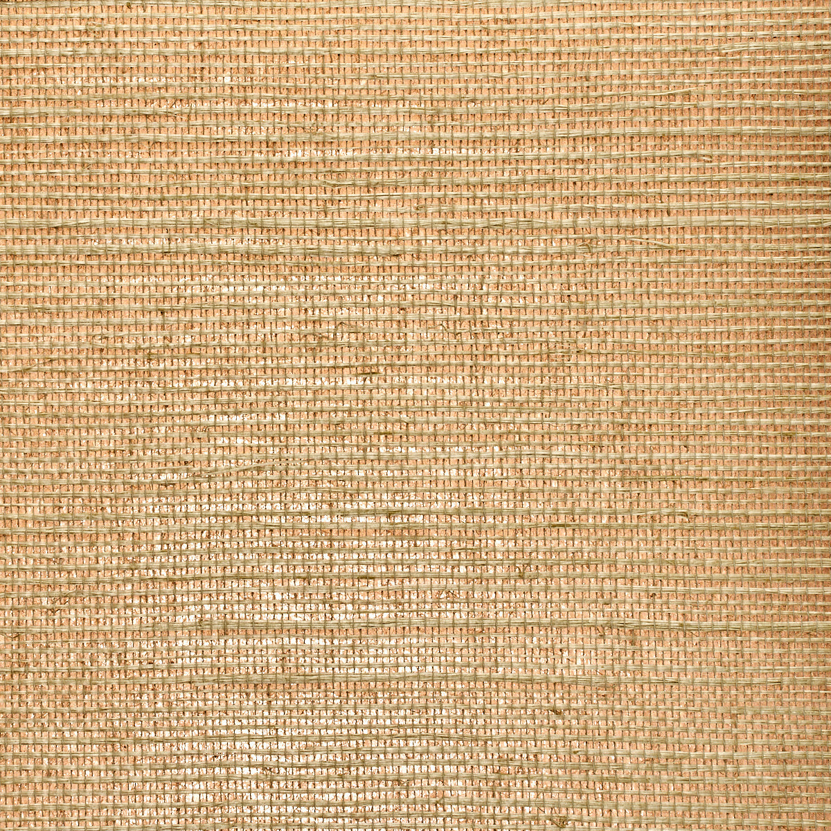 GLAM-GRASS-BEIGE-ON-GOLD-PHILLIP-JEFFRIES-5226 - Phillip Jeffries Wallpaper Wallpaper