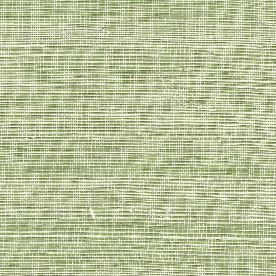 BERMUDA-HEMP-GRASS-GREEN-PHILLIP-JEFFRIES-5253