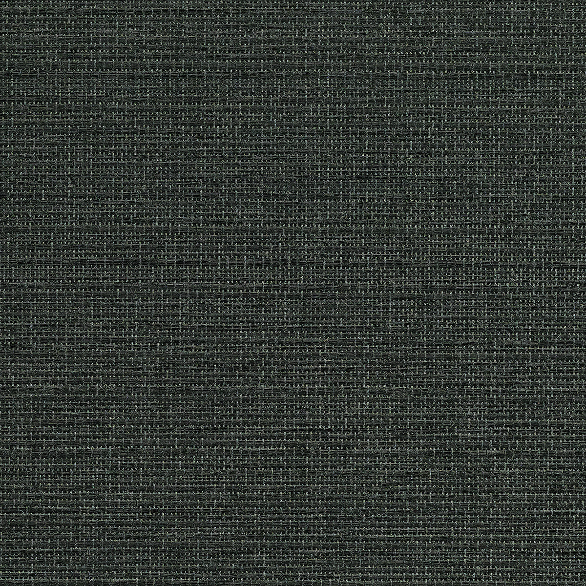 MONET-HEMP-NOIR-PHILLIP-JEFFRIES-31203 - Phillip Jeffries Wallpaper Wallpaper