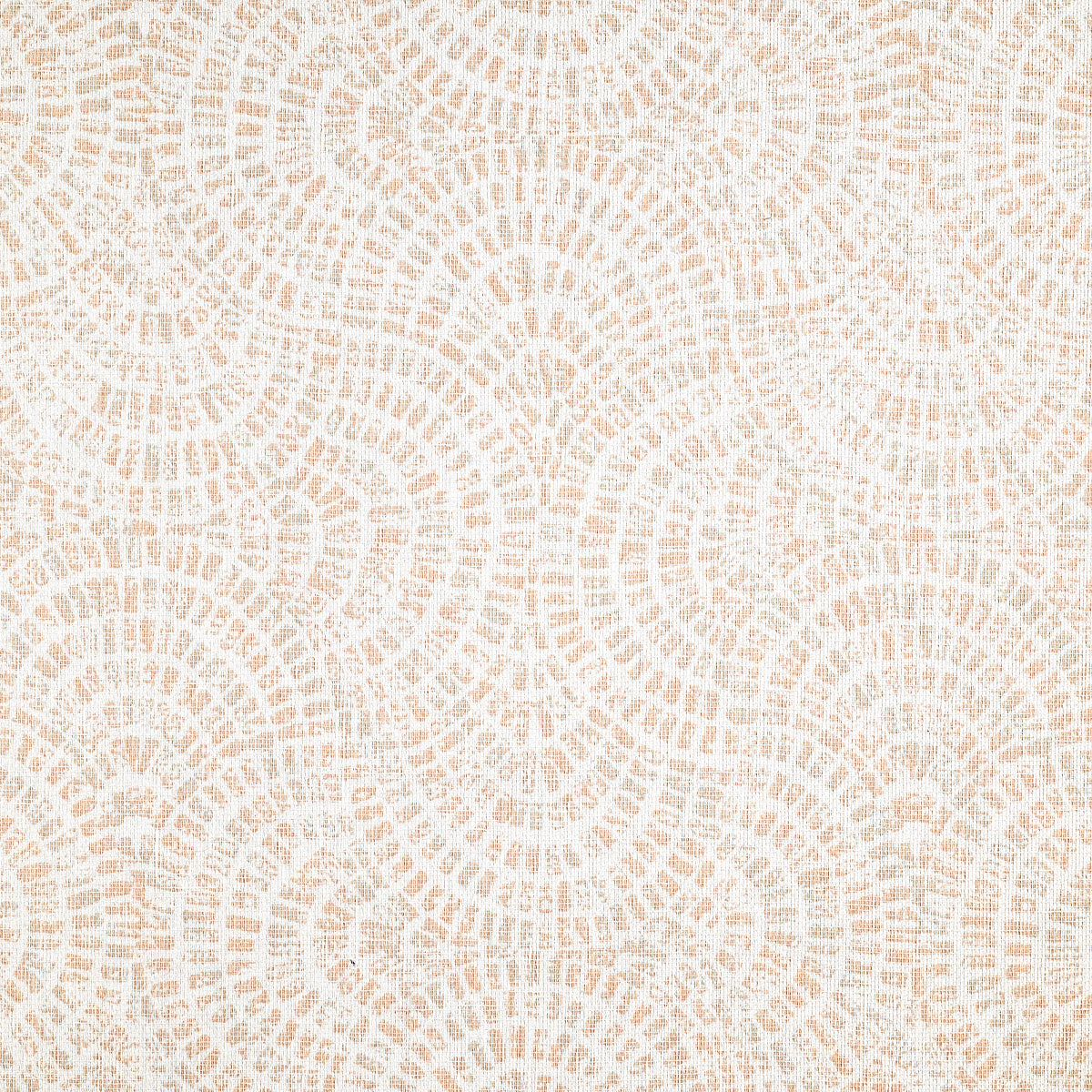 FANFARE-CORAL-REEF-PHILLIP-JEFFRIES-10378